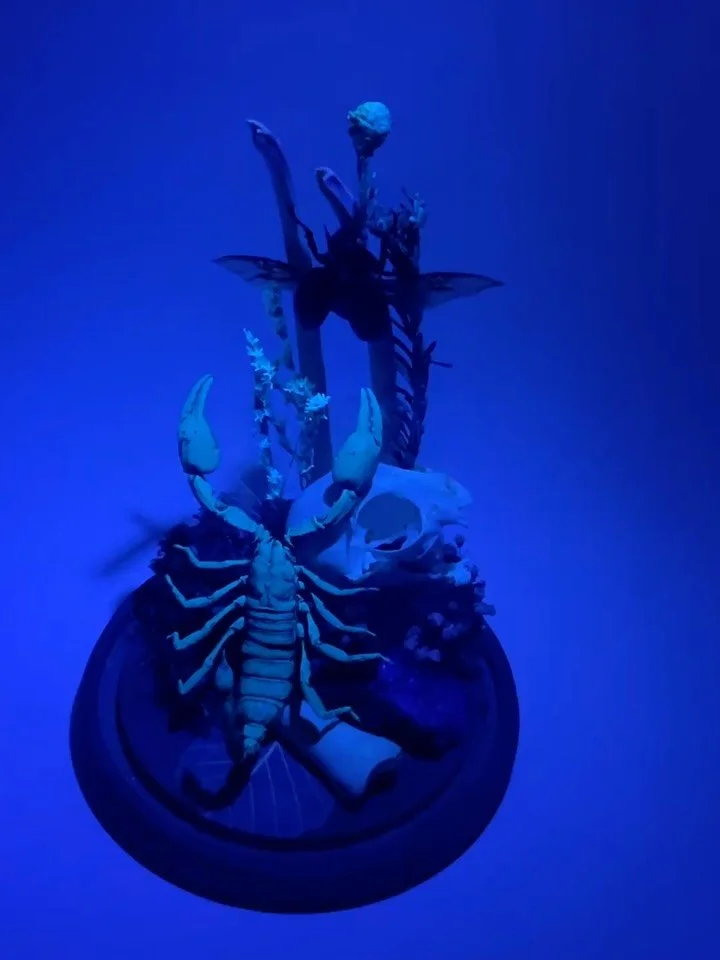 All set up at @turbotims for the @midnightcreaturescollective !!
Here til 4pm👻