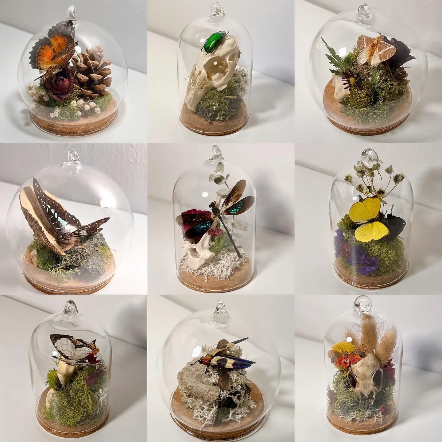 A selection of our nature-scene ornaments available now at @gamutgallerympls both in person and through their website. 
We won&rsquo;t be updating our own website with new work until after the holidays, so if you&rsquo;re out of town and itching for 