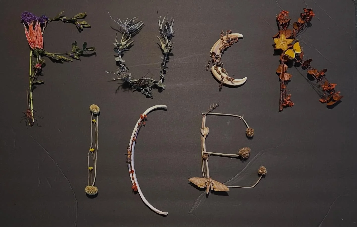 We&rsquo;ve been a little quiet on here because we live in Minneapolis and have been tending to our IRL community. But just to be clear on our beliefs&hellip;ABOLISH FUCKING ICE!!!