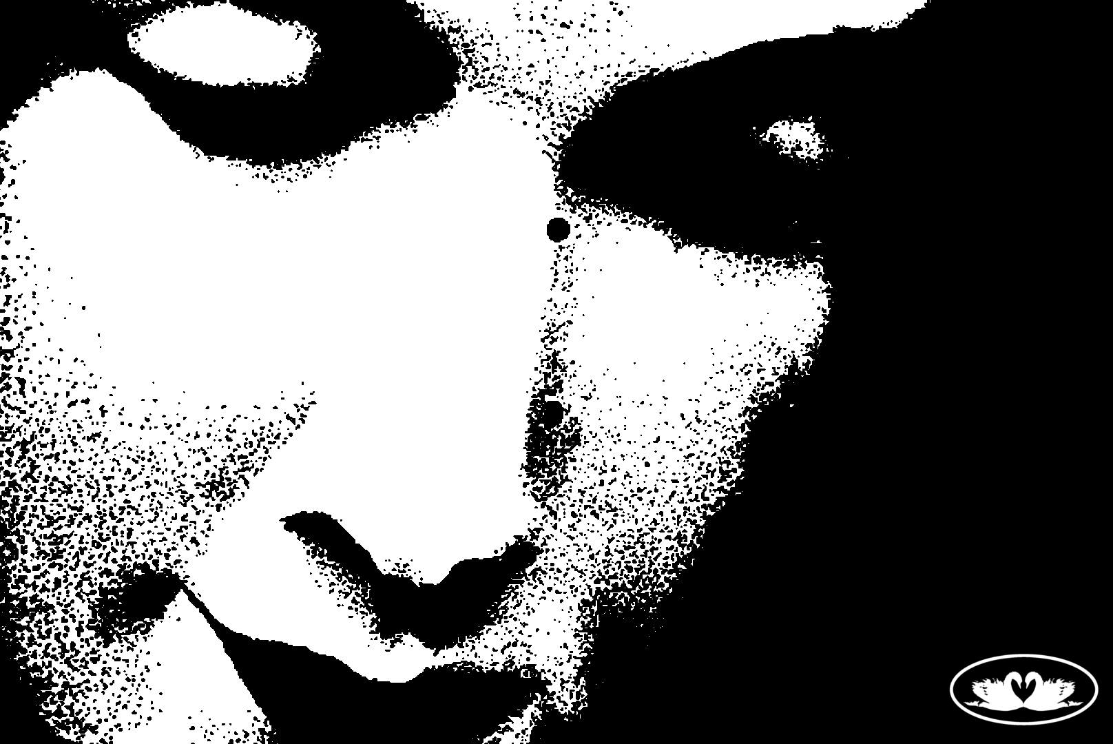Untitled3895_20260819191739.PNG
