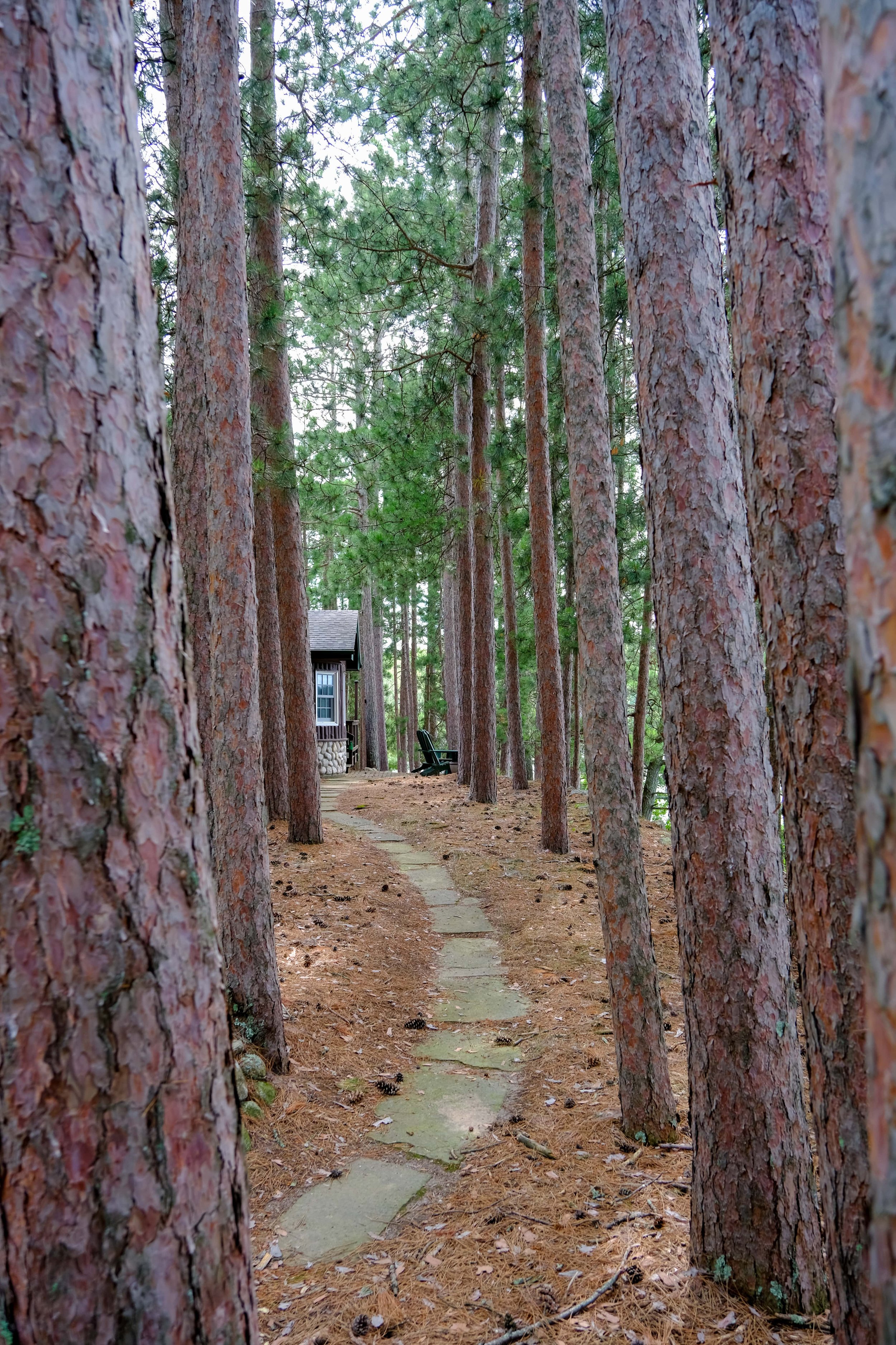 pinepoint-61-min.jpg