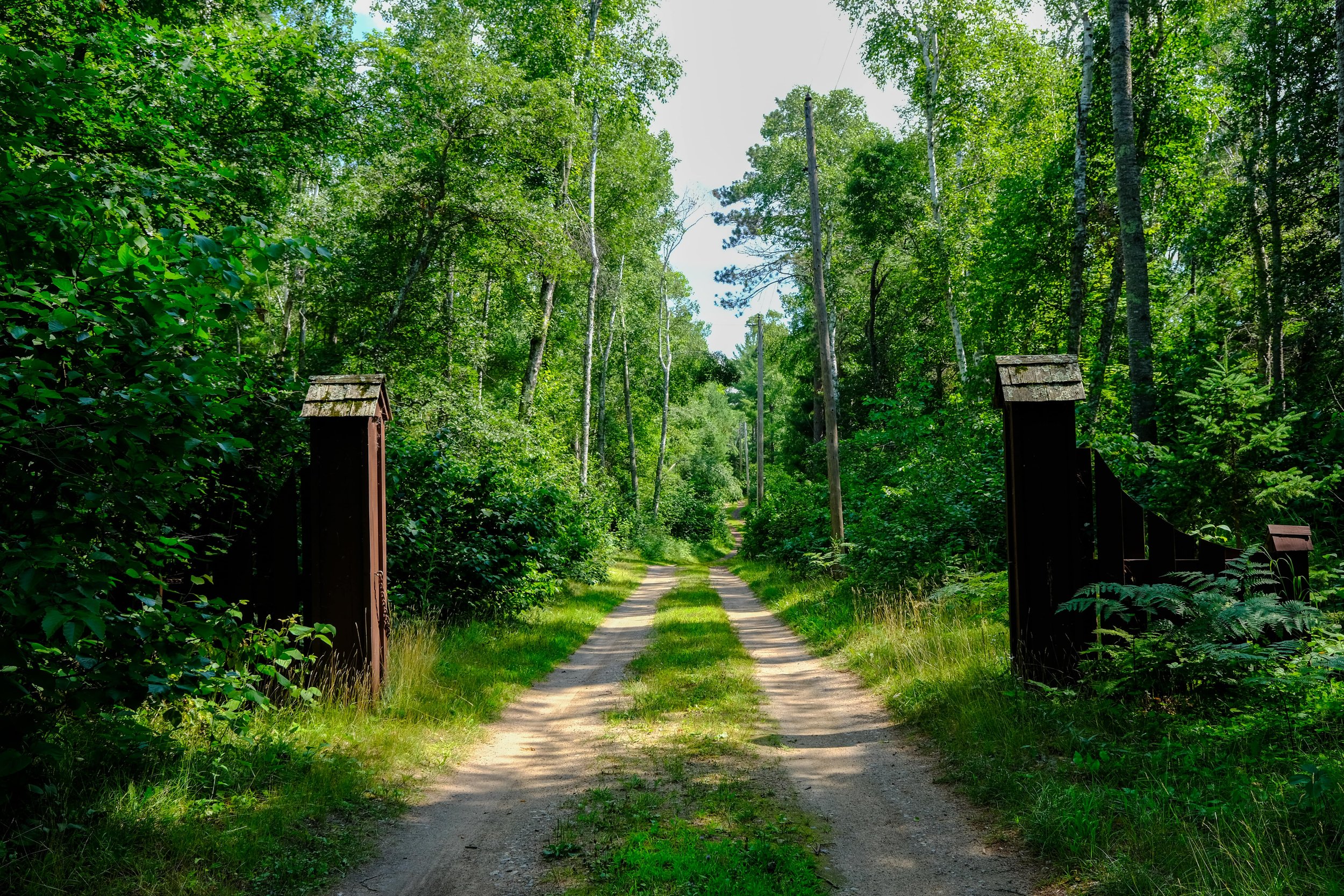 pinepoint-69-min.jpg
