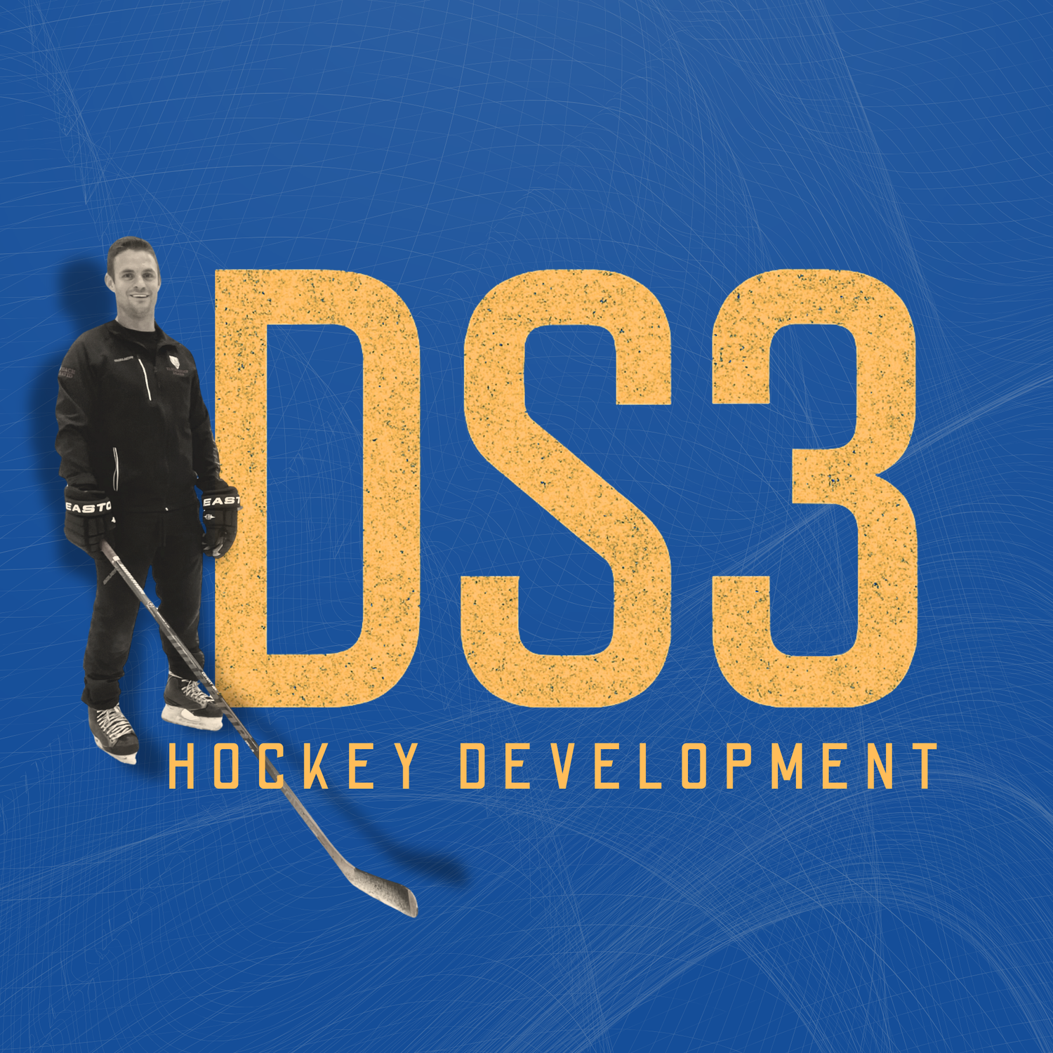 DS3 Hockey Development
