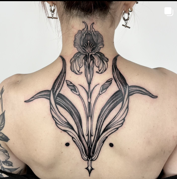 Screenshot 2024-10-29 at 8.47.15 PM.png