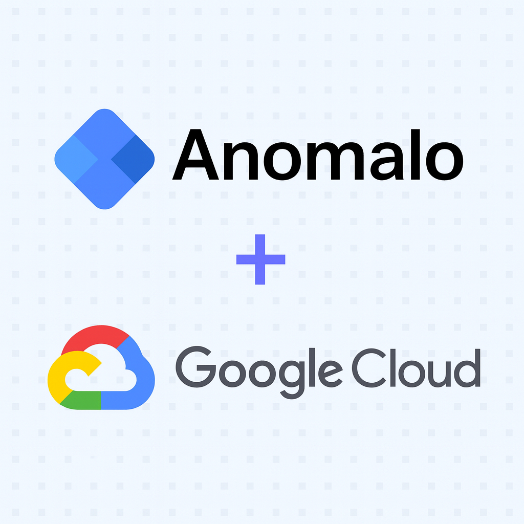 Representing Google Cloud and Anomalo Partnership