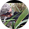 imgdp9.png