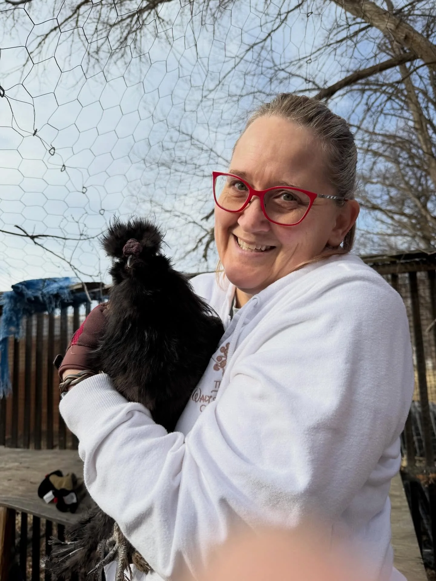 Meet the newest addition to our Petersen Rock Garden family&hellip;Aussie! He&rsquo;s a black silkie rooster and has already made himself at home at The Garden and in our hearts&hearts;️