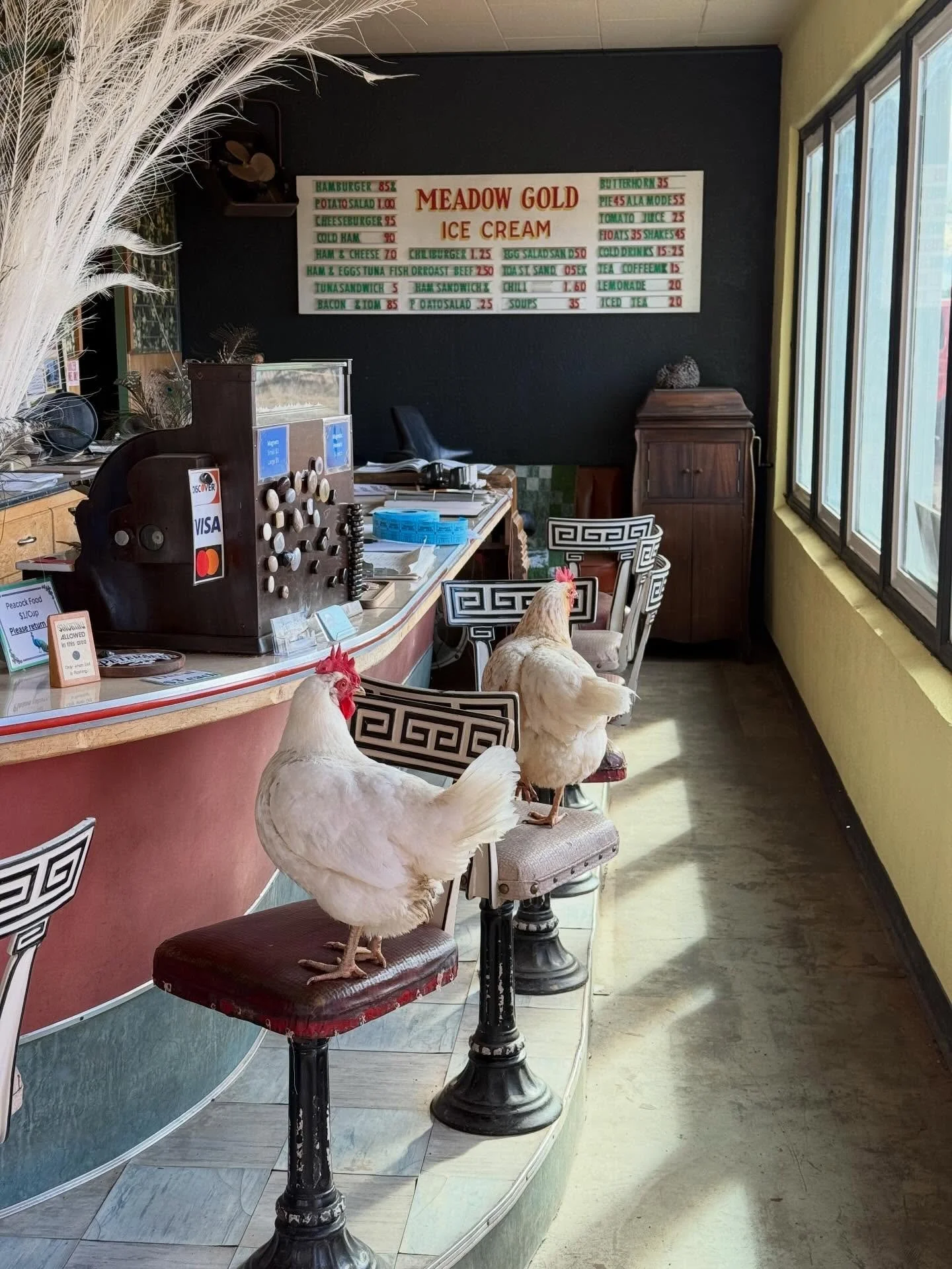 Jonesy and Goo decided to visit the Diner one last time before we move back over to the museum.