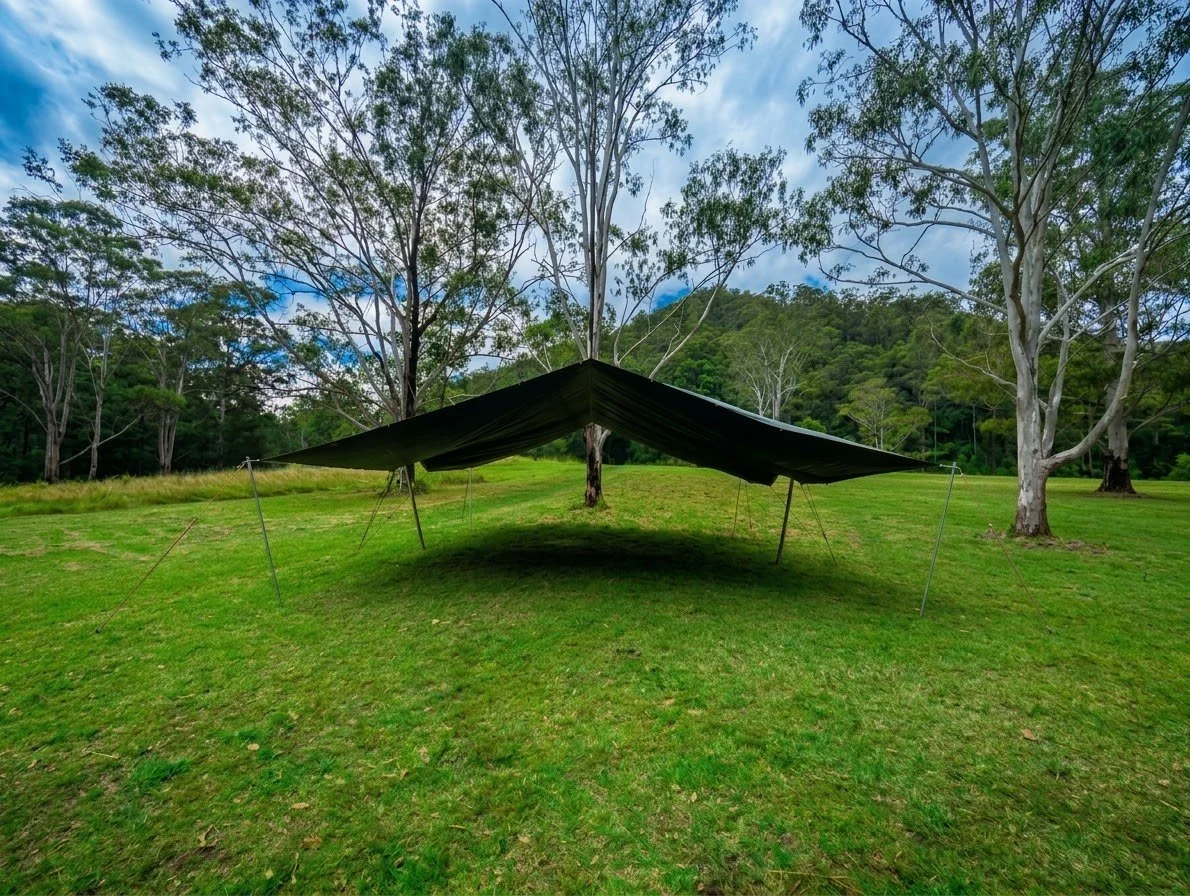 Tarp.png