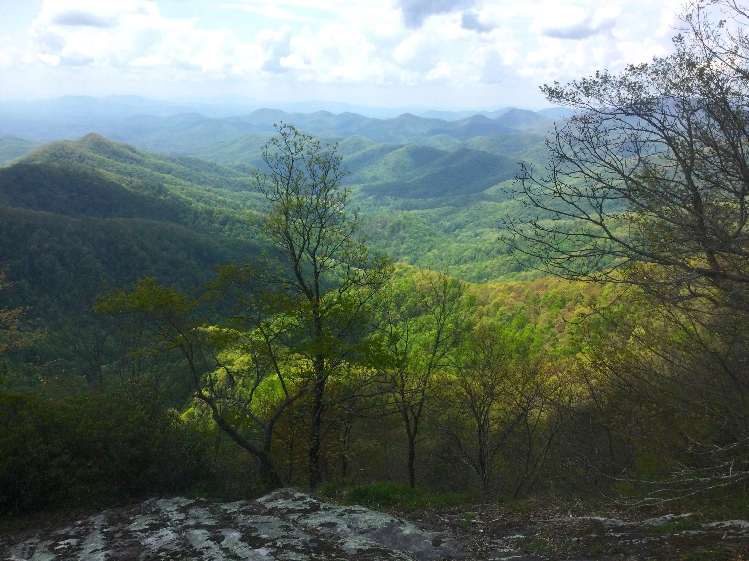 Snowbirds Mountain Landscape Conserved