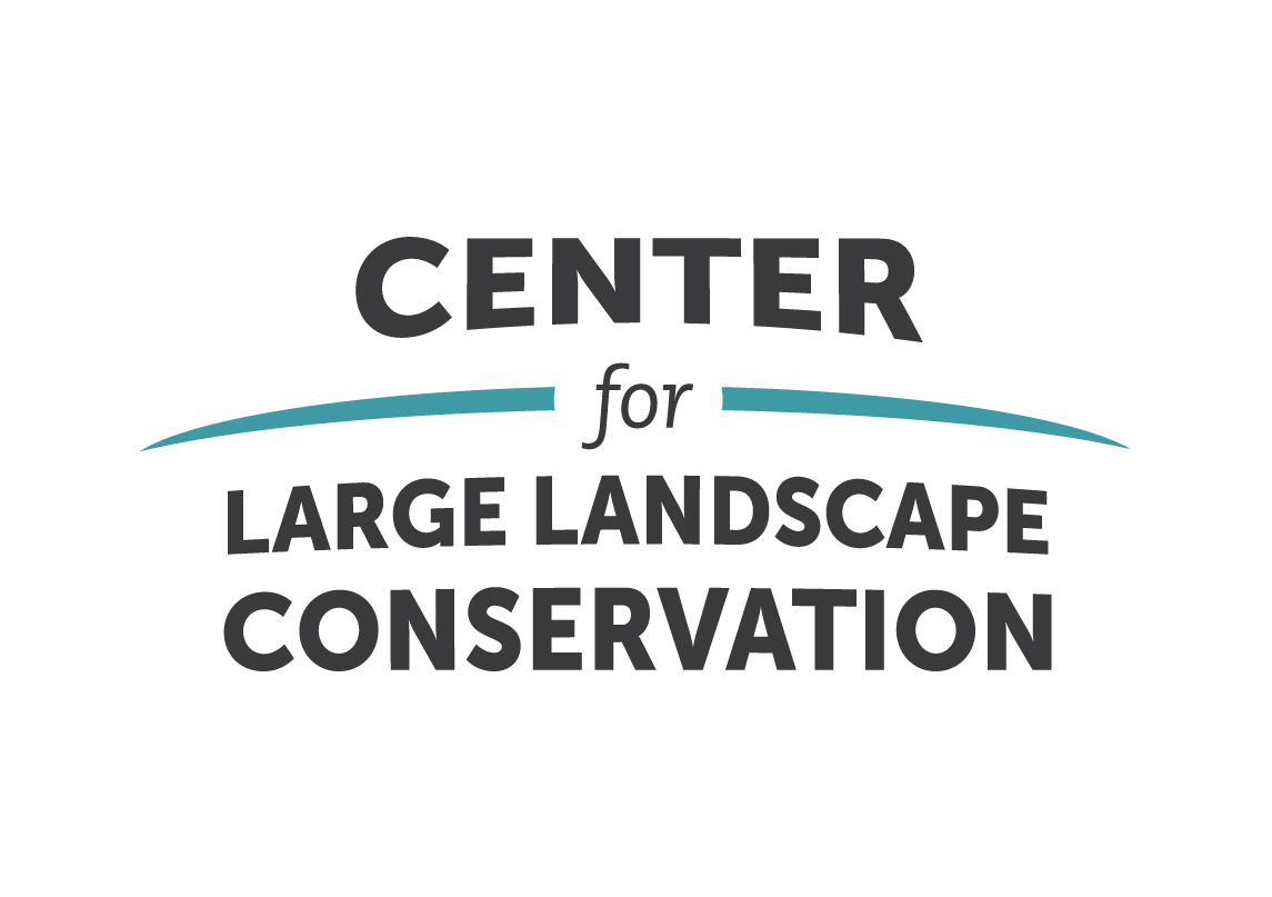 CLLC_logo_primary (2).png