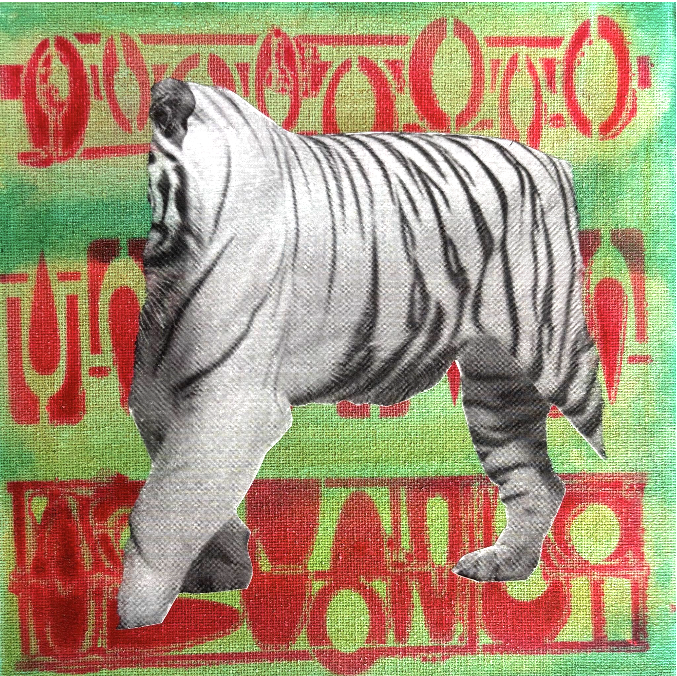 The Shape of Creation