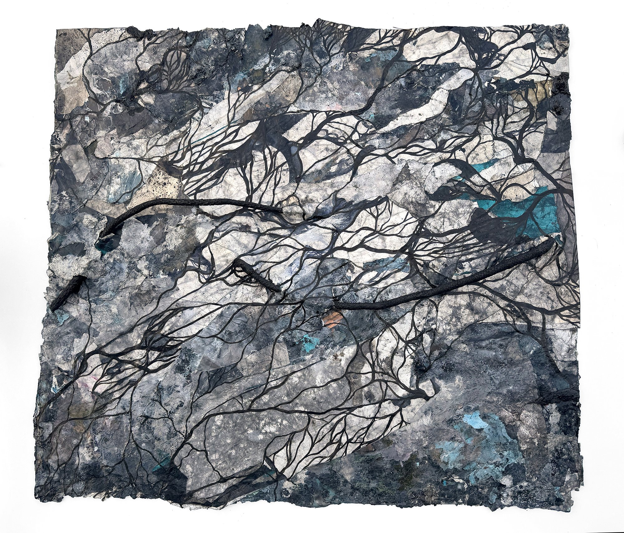 Katherine Filice
"Burn Scar (No 2)" Textural Forest-Inspired Painting by Katherine Filice
2025
