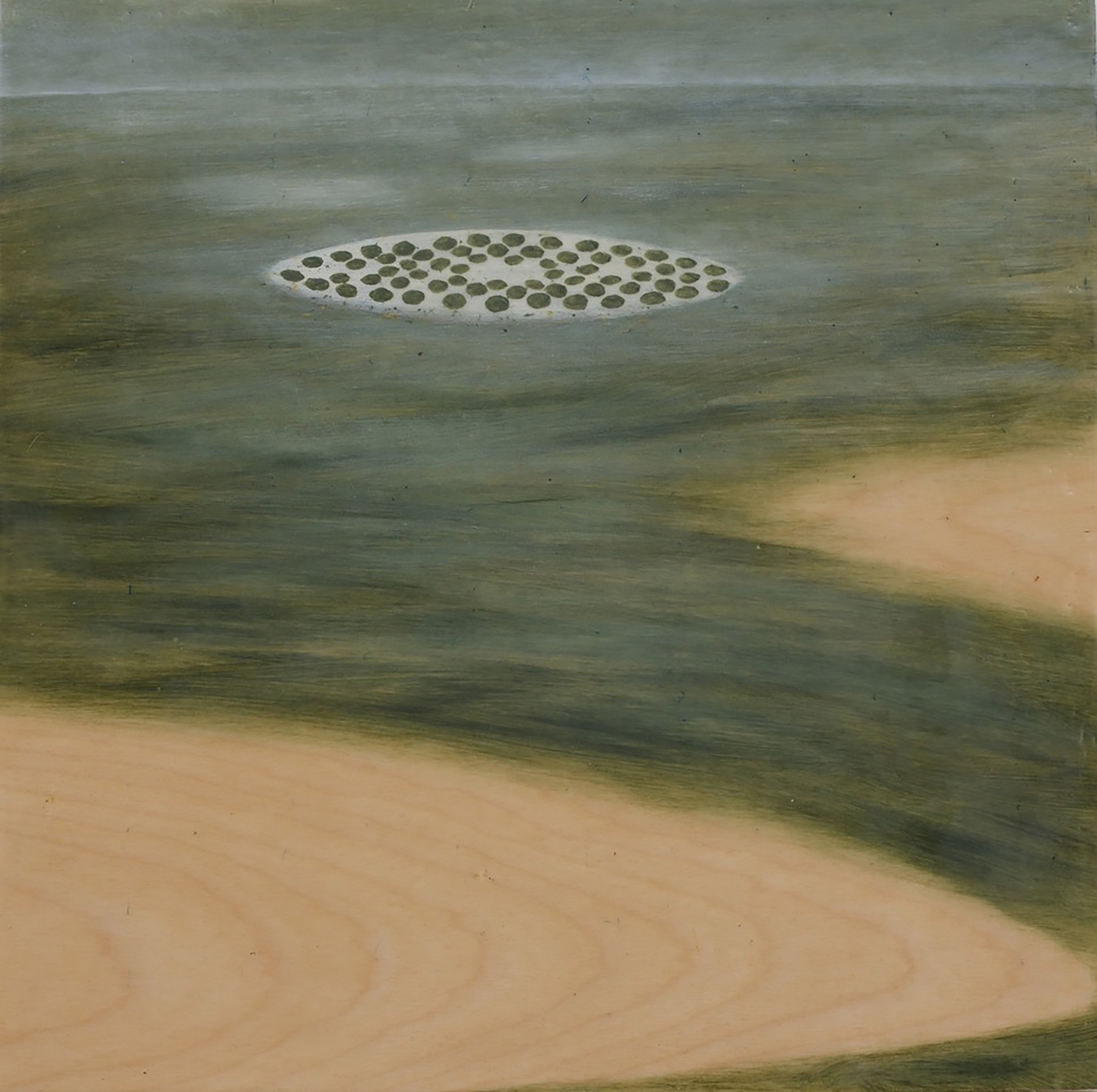 Arminée Chahbazian
"Drain" A conceptual oil and encaustic painting with greens and wood grains
2015