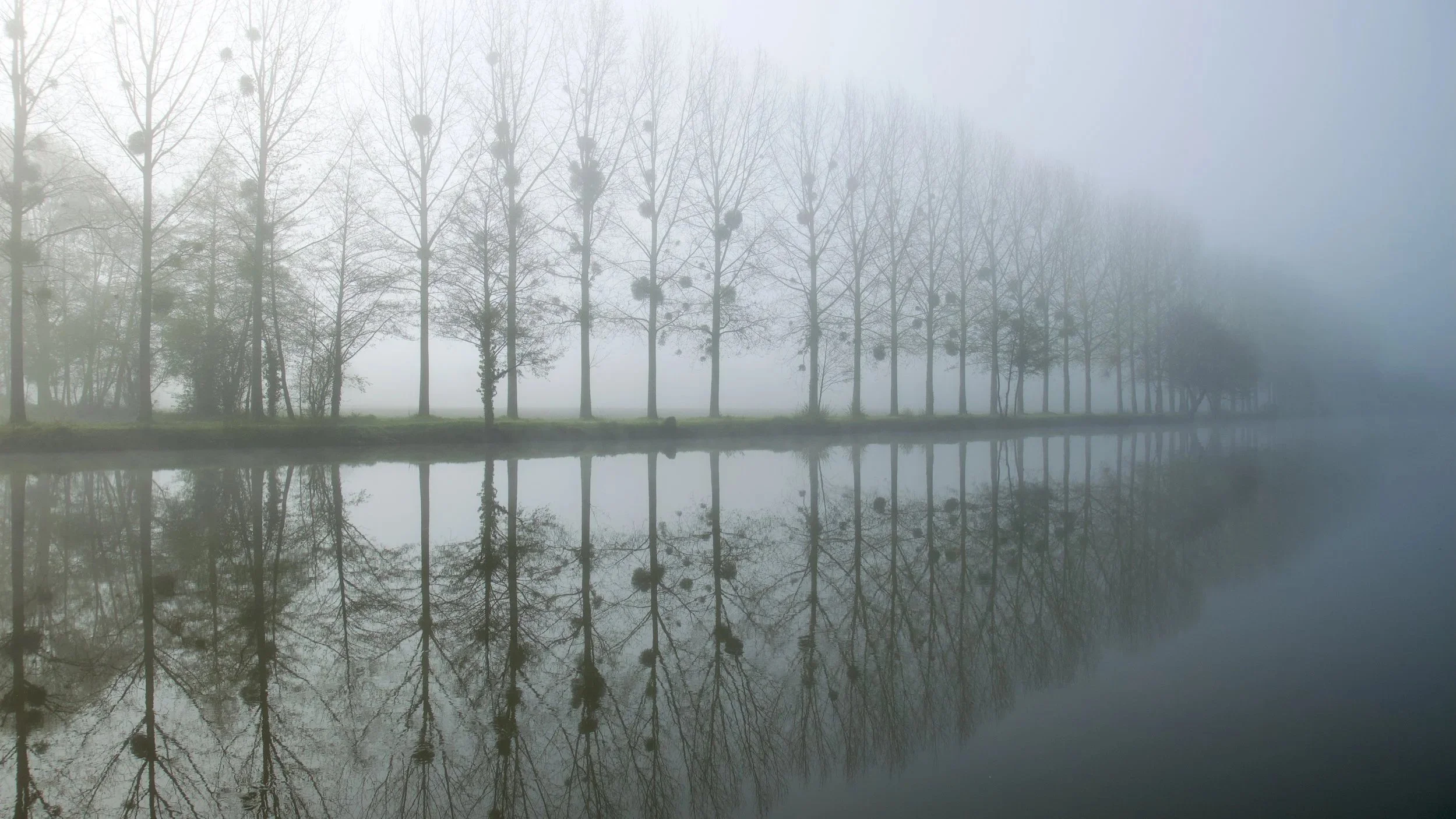 San Francisco Art Fair