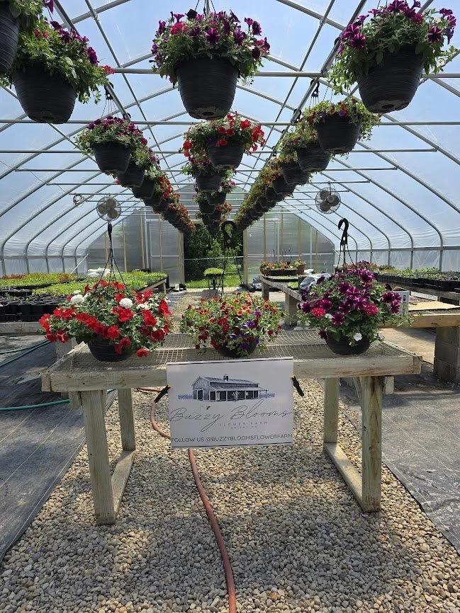 Premium Hanging Baskets 13"