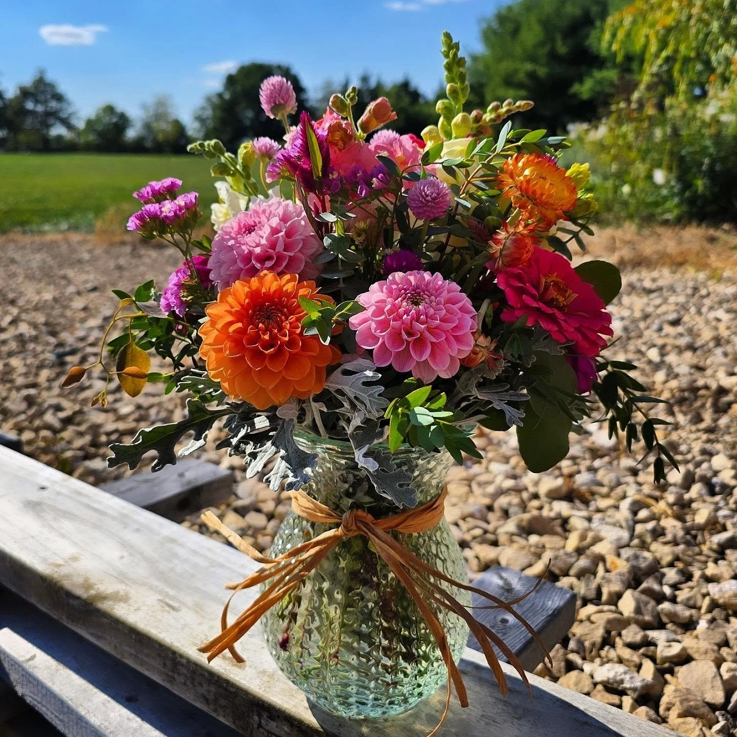 🐝 A Sunday favorite. 

#buzzybloomsflowerfarm #cutflowers #flowerfarm #flowerfarmerflorist #local #pickawaycounty