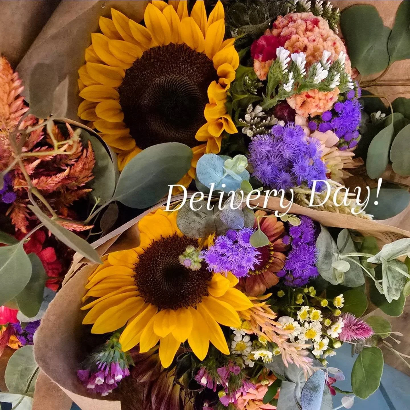 🐝 Delivery Day!

Fresh bouquets are at your favorite coffee shops. 

📍 Lisa's Sweet Shoppe 
@lisassweetshoppe
 -Ashville

📍 Pick'em Up Joe Coffee Co. @pickemupjoecoffeeco
-Commercial Point 

#buzzybloomsflowerfarm #cutflowers #FlowerFarmerFlorist 