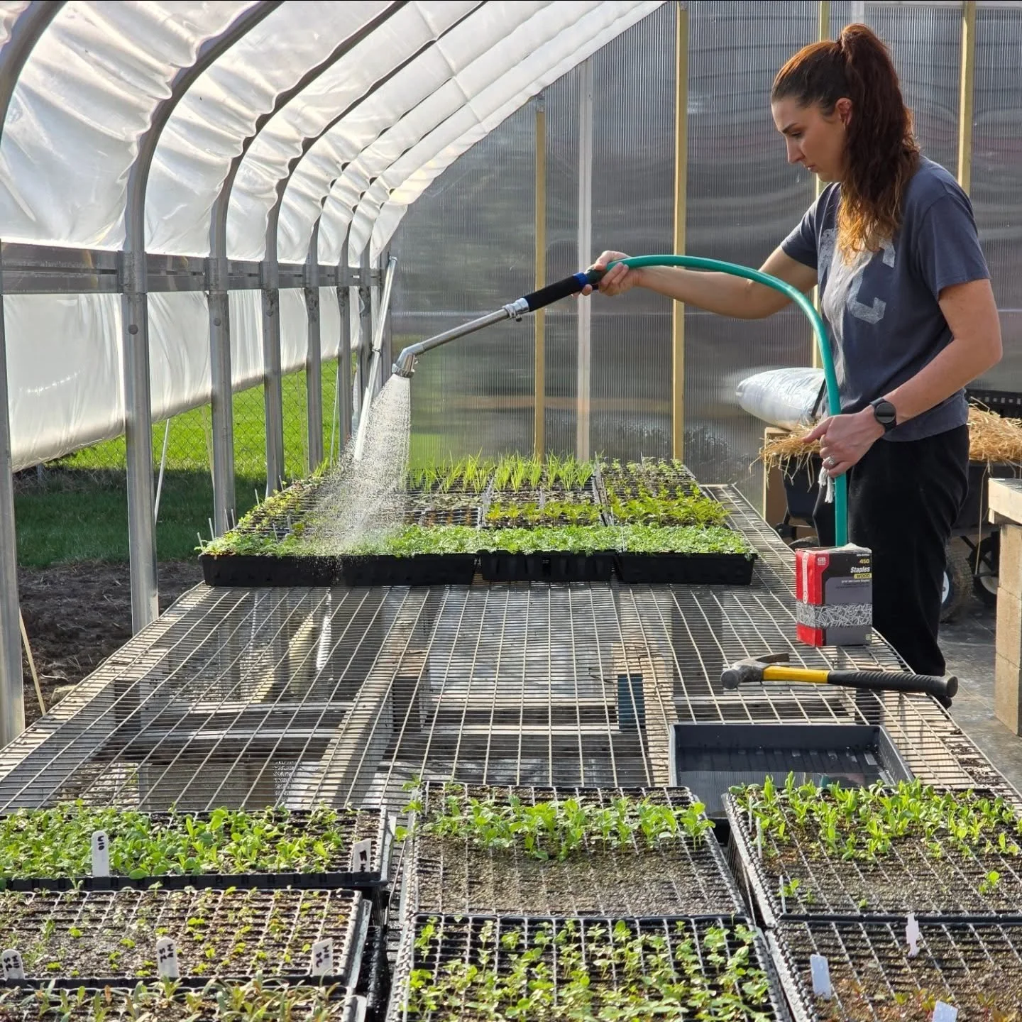 A little morning walk. ☕ 

The days are currently filled with seed starting at the kitchen table, grow lamps and heat mats in the basement, transplanting seed trays into their new homes, and watering. All while helping two kiddos through the flu and 