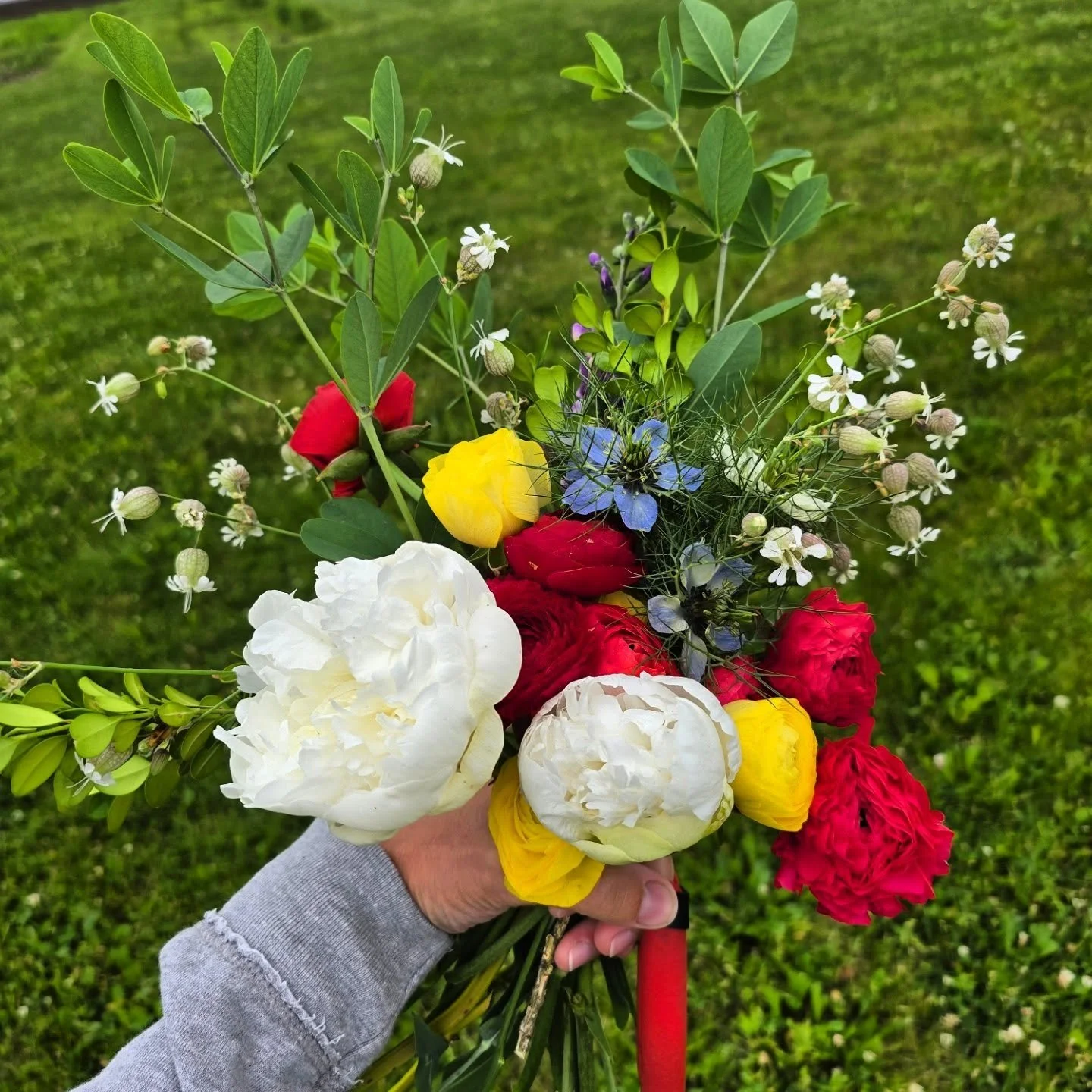I don't have enough to share, just yet, but they are slowly on the way. Boy will they be worth it. 

Pictured are flowers from a walk I took around the farm to fill the handmade vase my son made me. 🧡

#buzzybloomsflowerfarm #cutflowers #local #pick