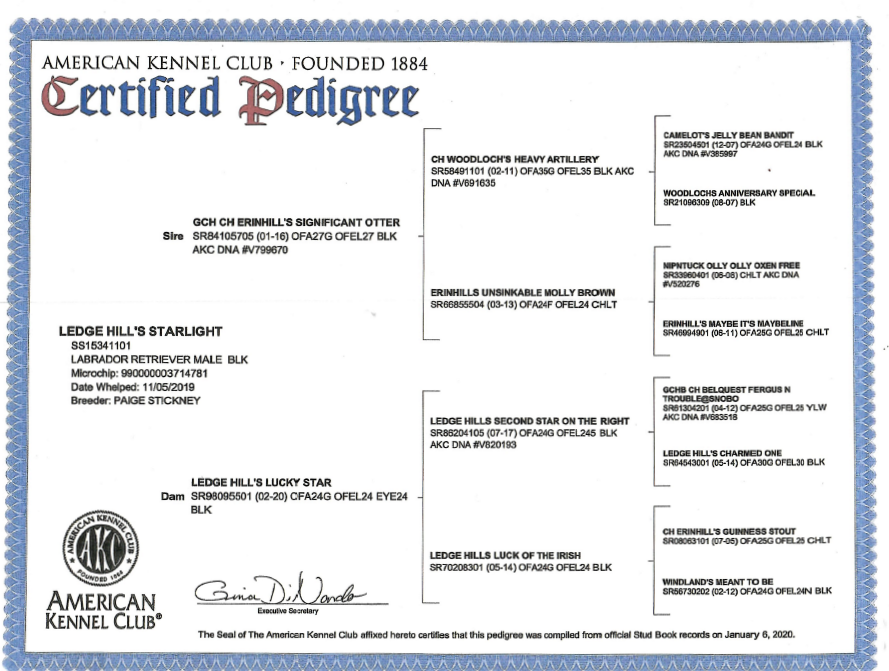 Mac's Sire Pedigree