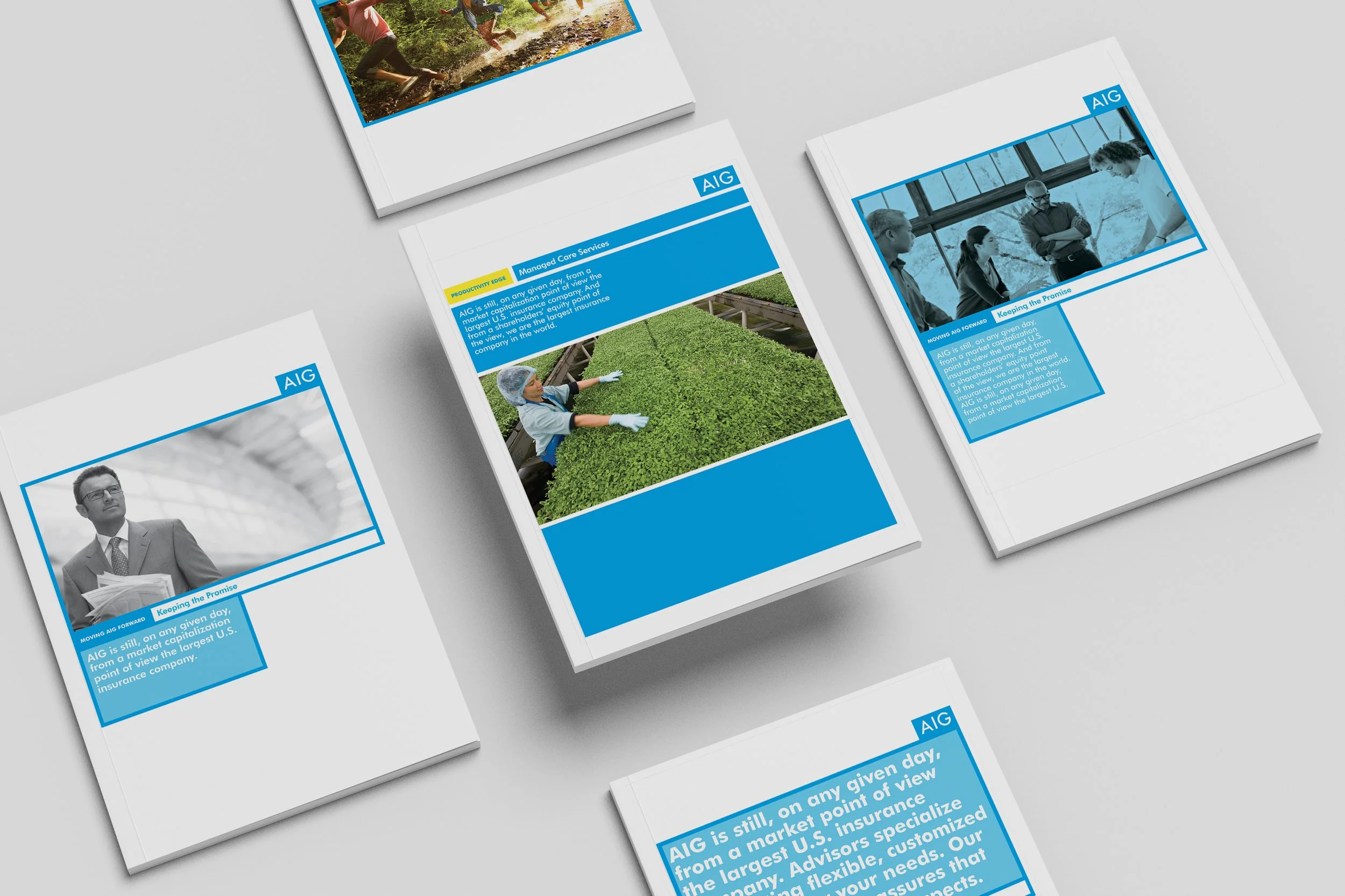 AIG brochure covers