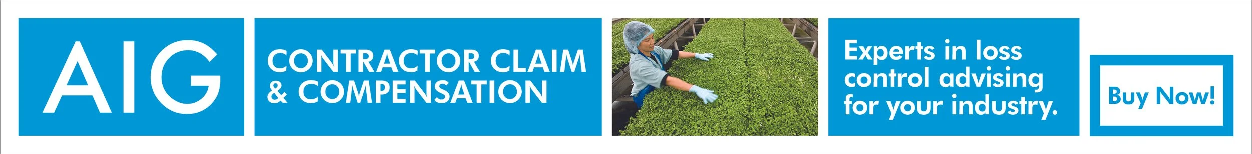 AIG banner ad.