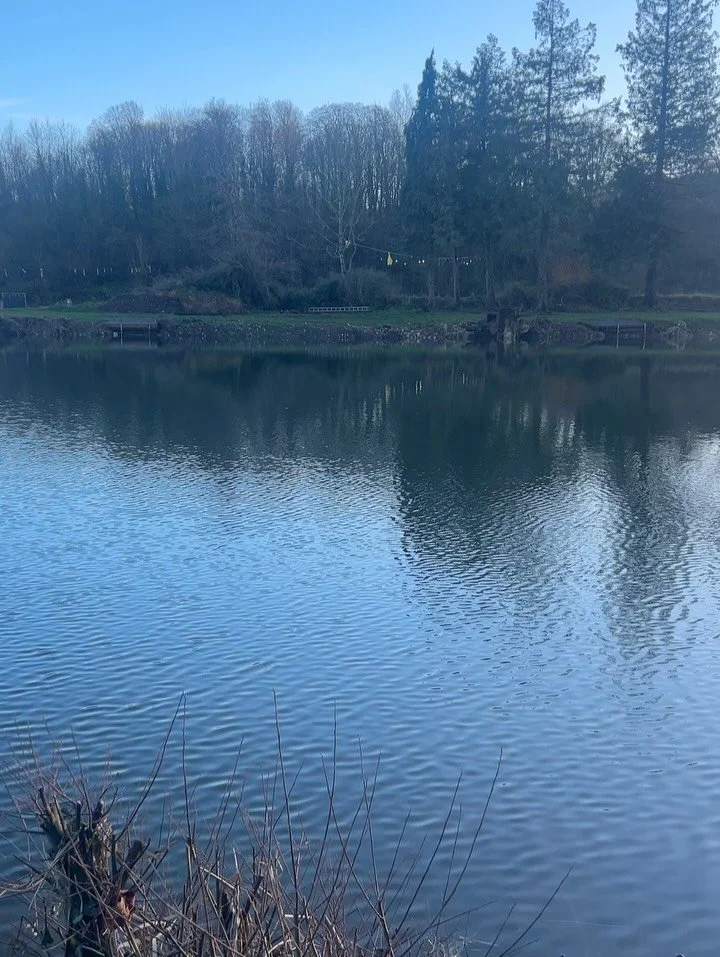 Little January roundup ✨

1. Dreamy winter walks 
2. Patiently waiting for the snow 🌨️
3. Dreamy interiors @the_pig_hotels 
4. Negroni 🥃
5. Literally the best facial I ever had (birthday treat I'm not that bougie) 
6. Cosy fire 
7. Swing ticket des