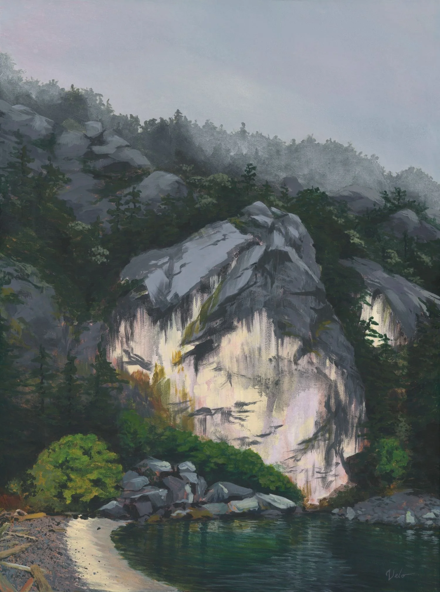 Chadwick in Mist for Squarespace.jpg