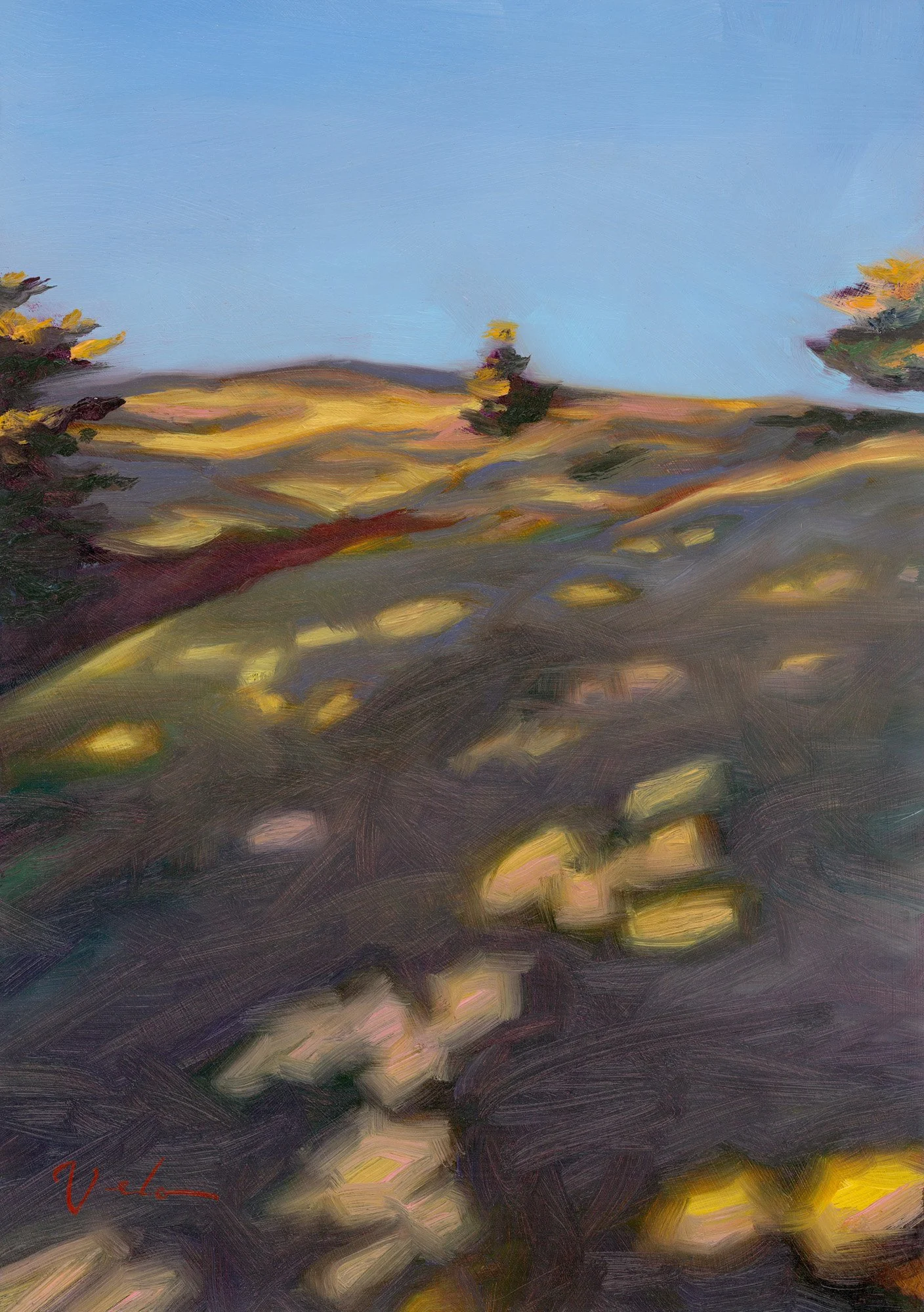 Early Morning Shadows for Squarespace.jpg