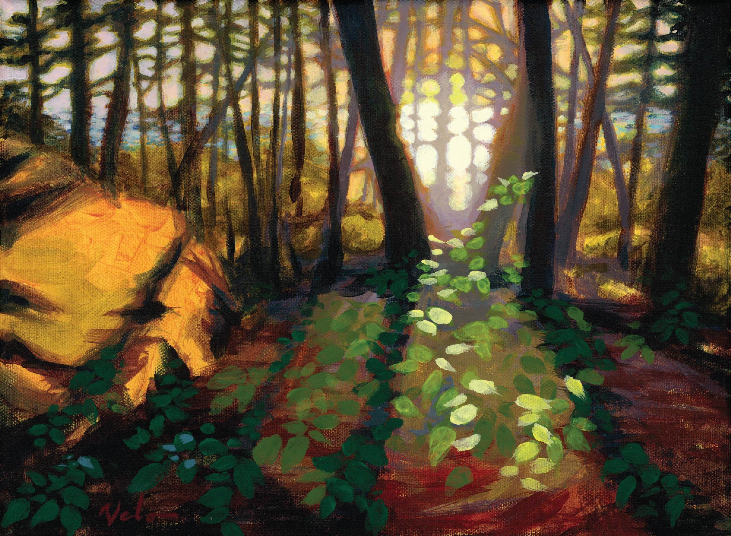 website.version.path to shark reef.jpg