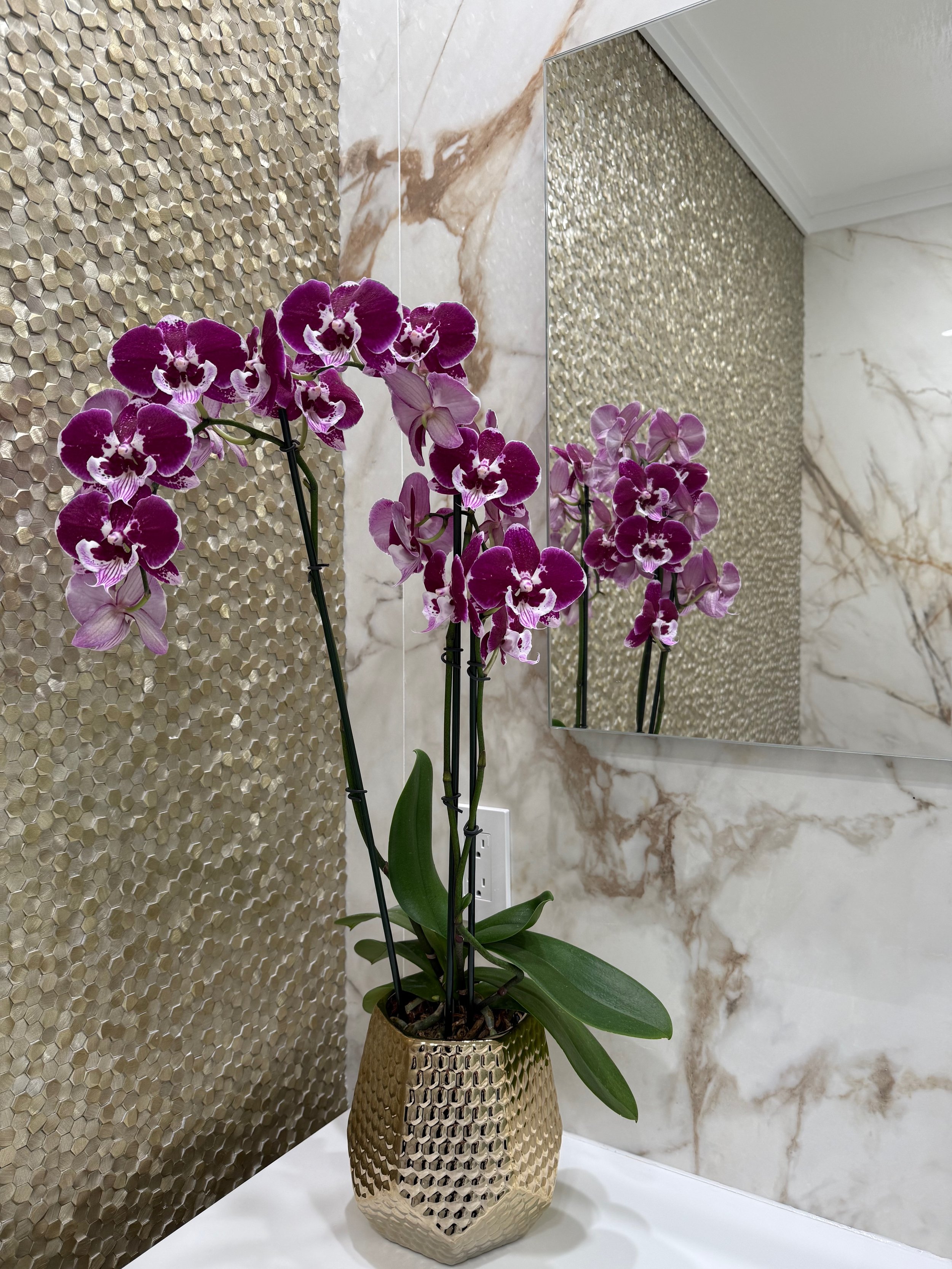 Single Orchid in Gold Vase.jpeg