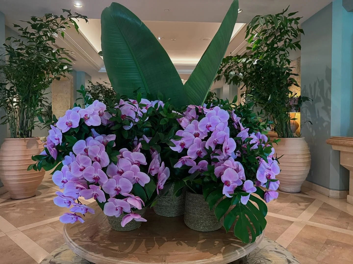 Gorgeous orchid arrangements make your holiday weekend even brighter. Happy Labor Day!! 🇺🇸🇺🇸🇺🇸🇺🇸🇺🇸🇺🇸🌺🌺🌺🌺🌺🌺🌺💕💕💕💕🇺🇸🇺🇸🇺🇸