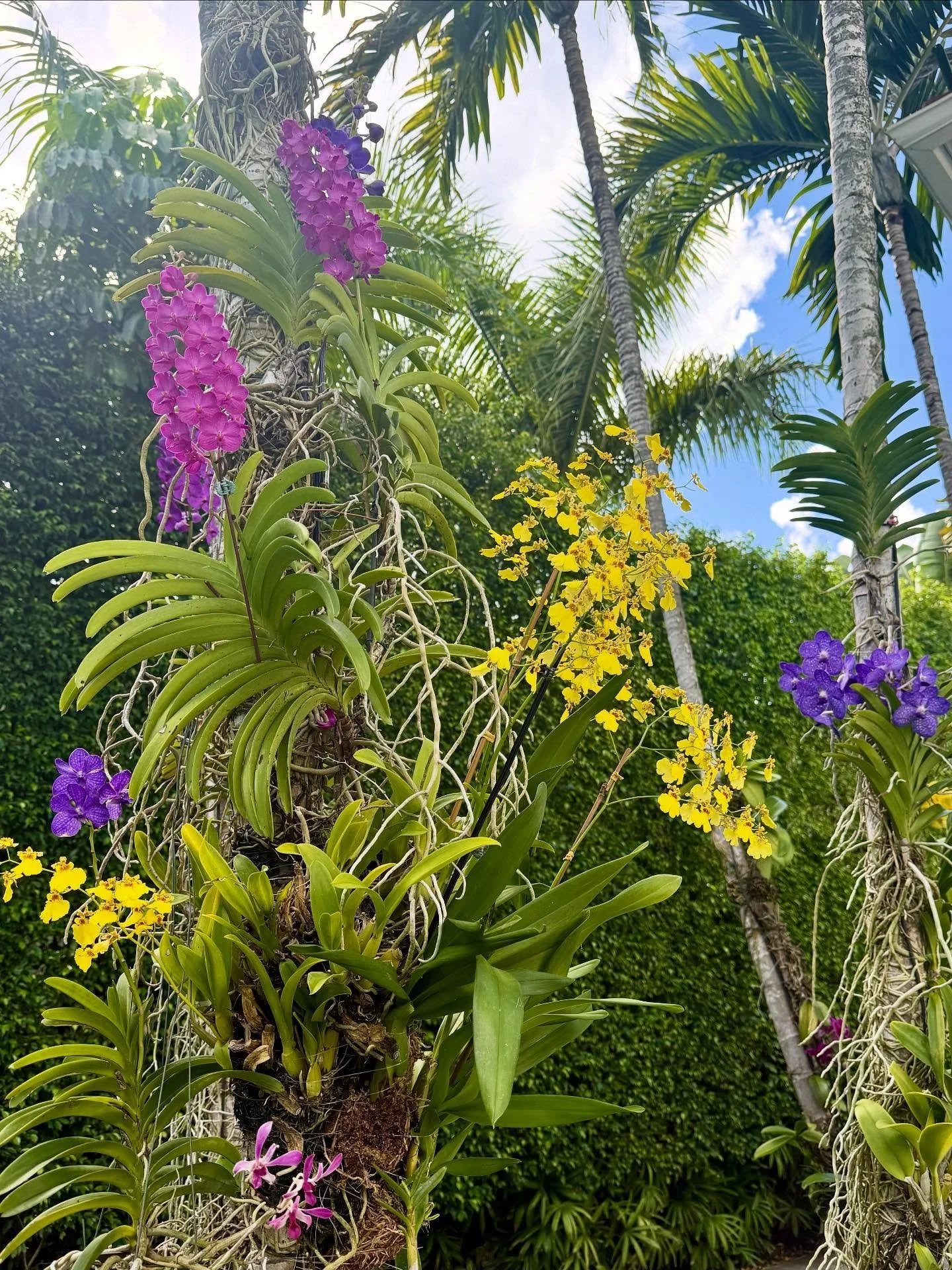 Caught myself staring again&hellip;Can you blame me? ☀️🌸