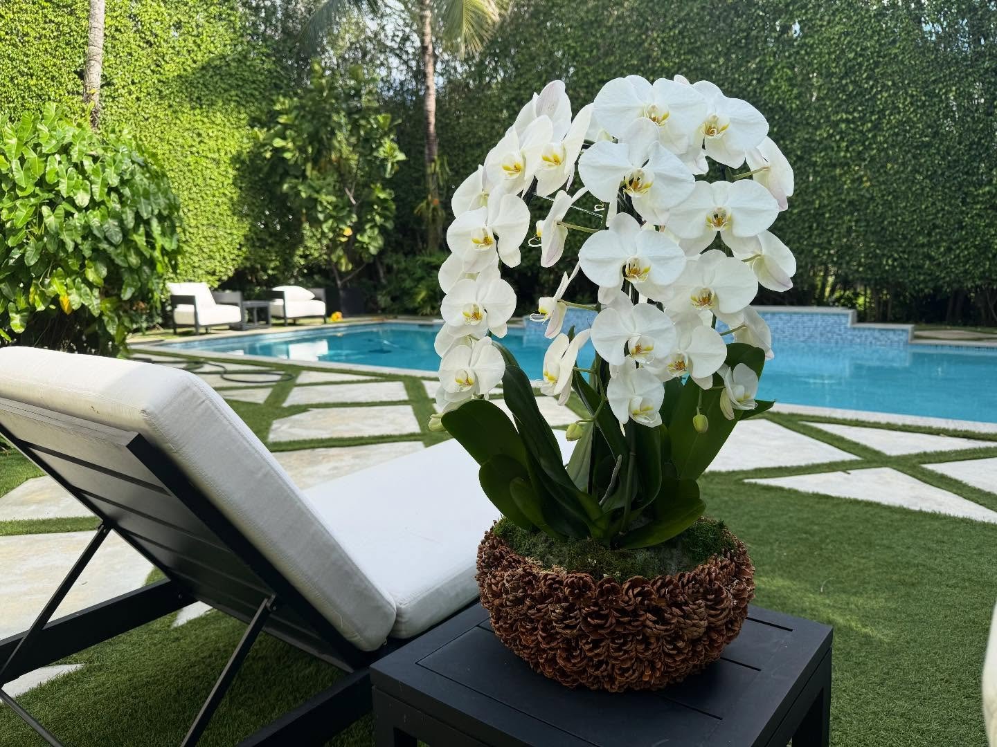 What&rsquo;s better than playing in my garden on a Sunday 🪴 💕🌸 #orchidlovers #orchid #orchidlover #whiteorchid #orchidarrangement