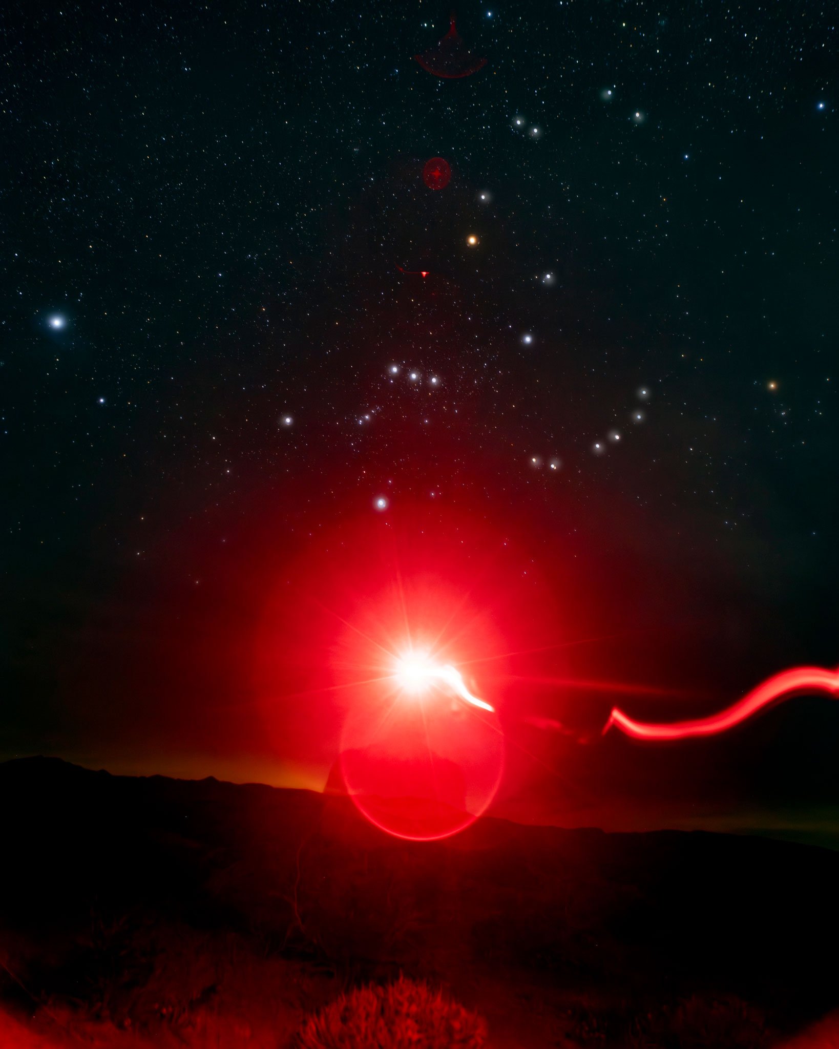 Wonder Lessons: Become a Backyard Naturalist