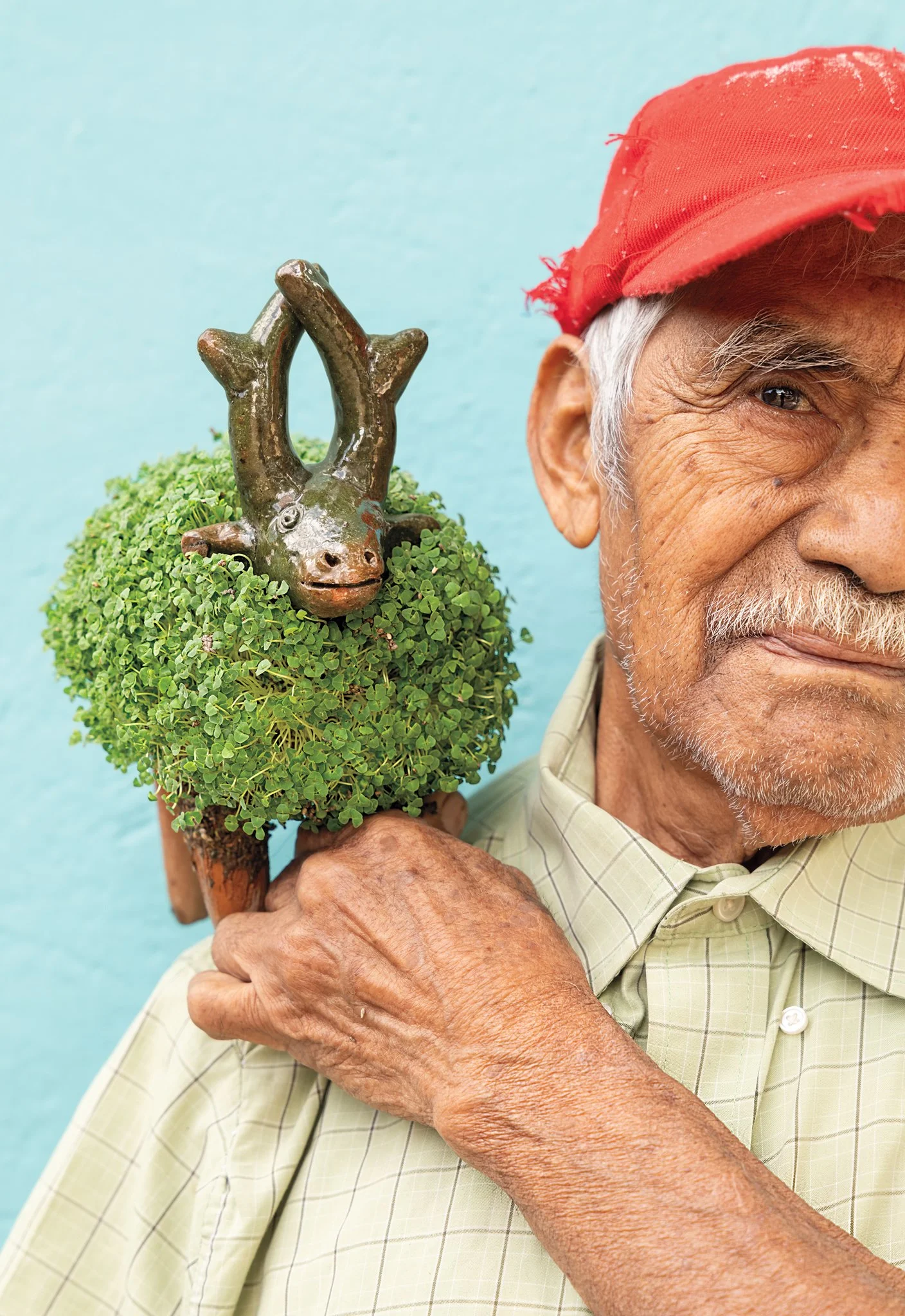 Hidden History of Chia Pets