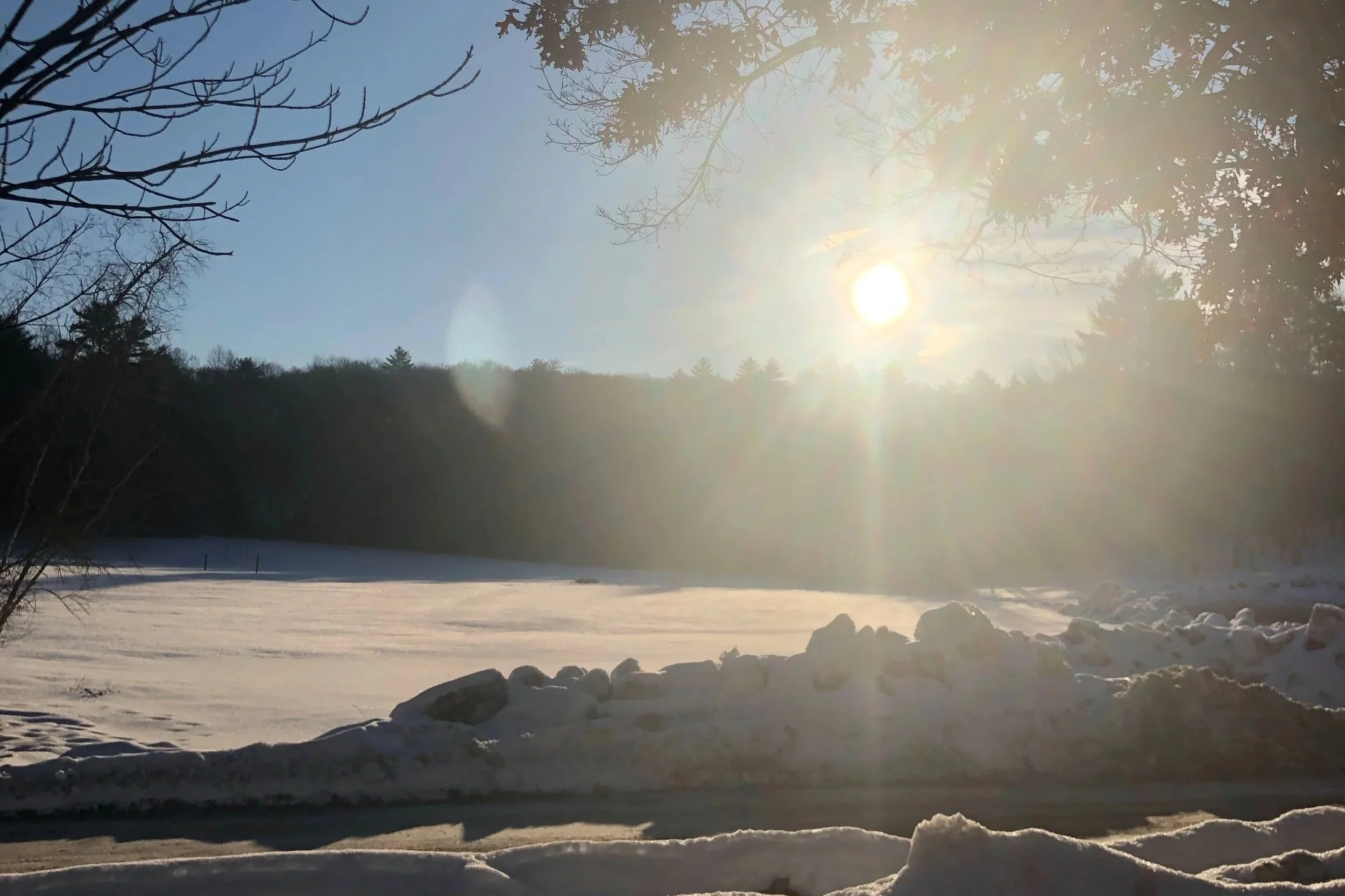 Lighting the Way: Reclaiming Purpose in Education