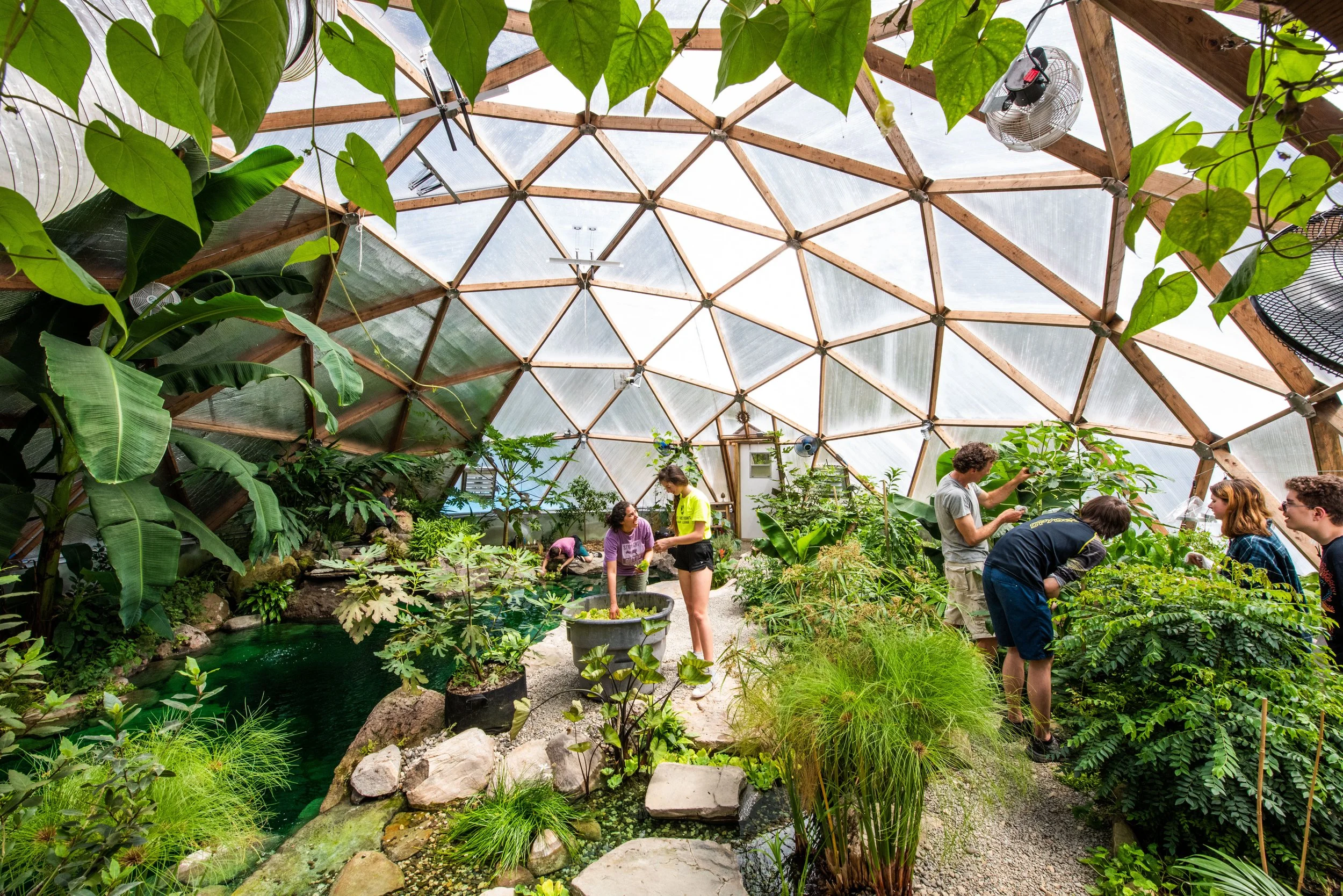 BioDome_2 (2).jpg