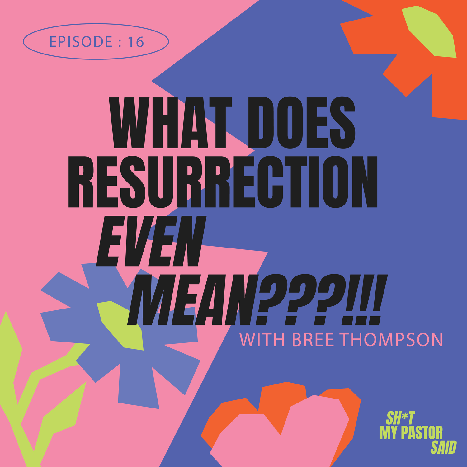 What does RESURRECTION even mean???!!! episode artwork