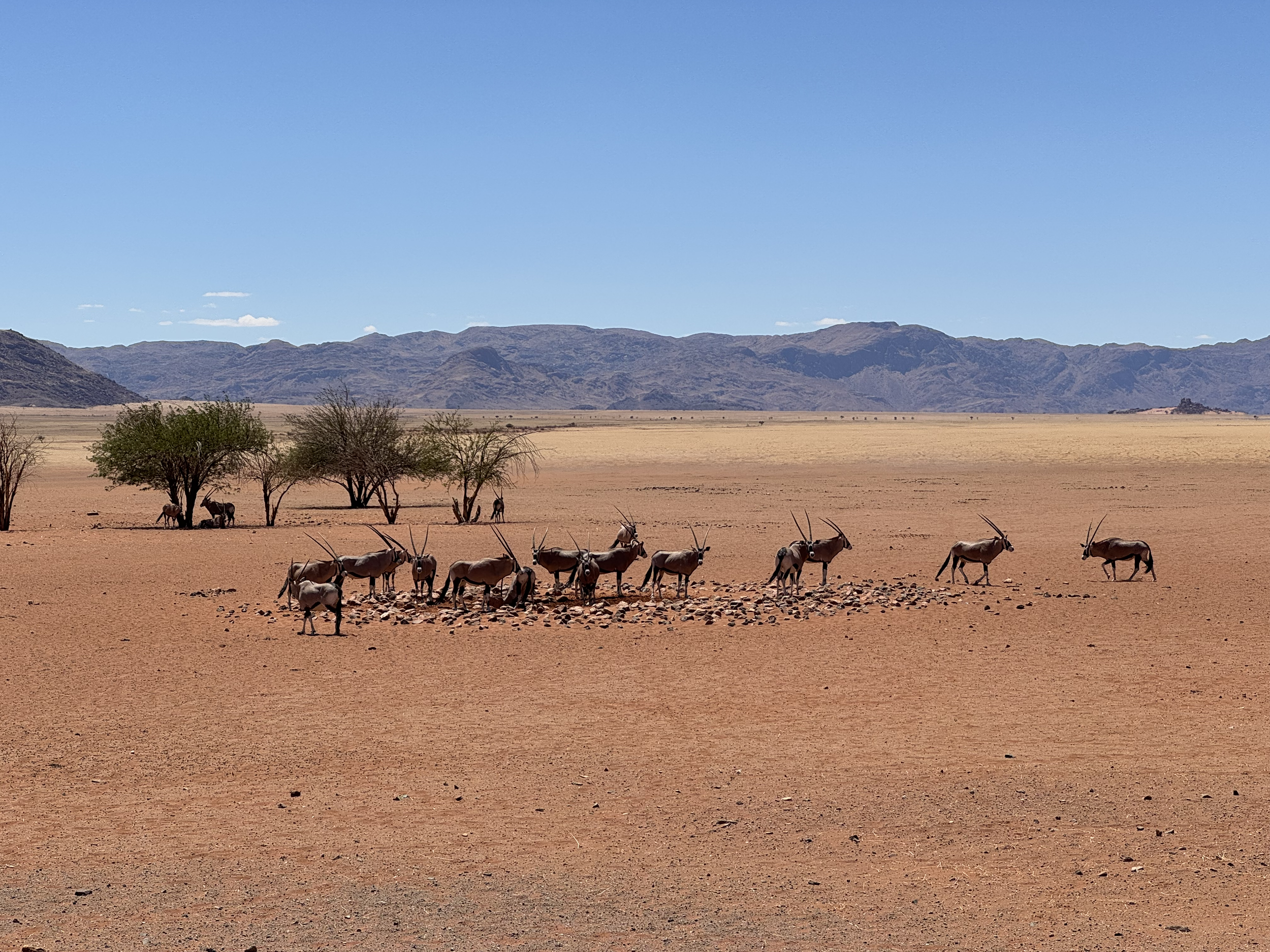 Namibia Travel Guide: A Luxury Safari &amp; Desert Itinerary