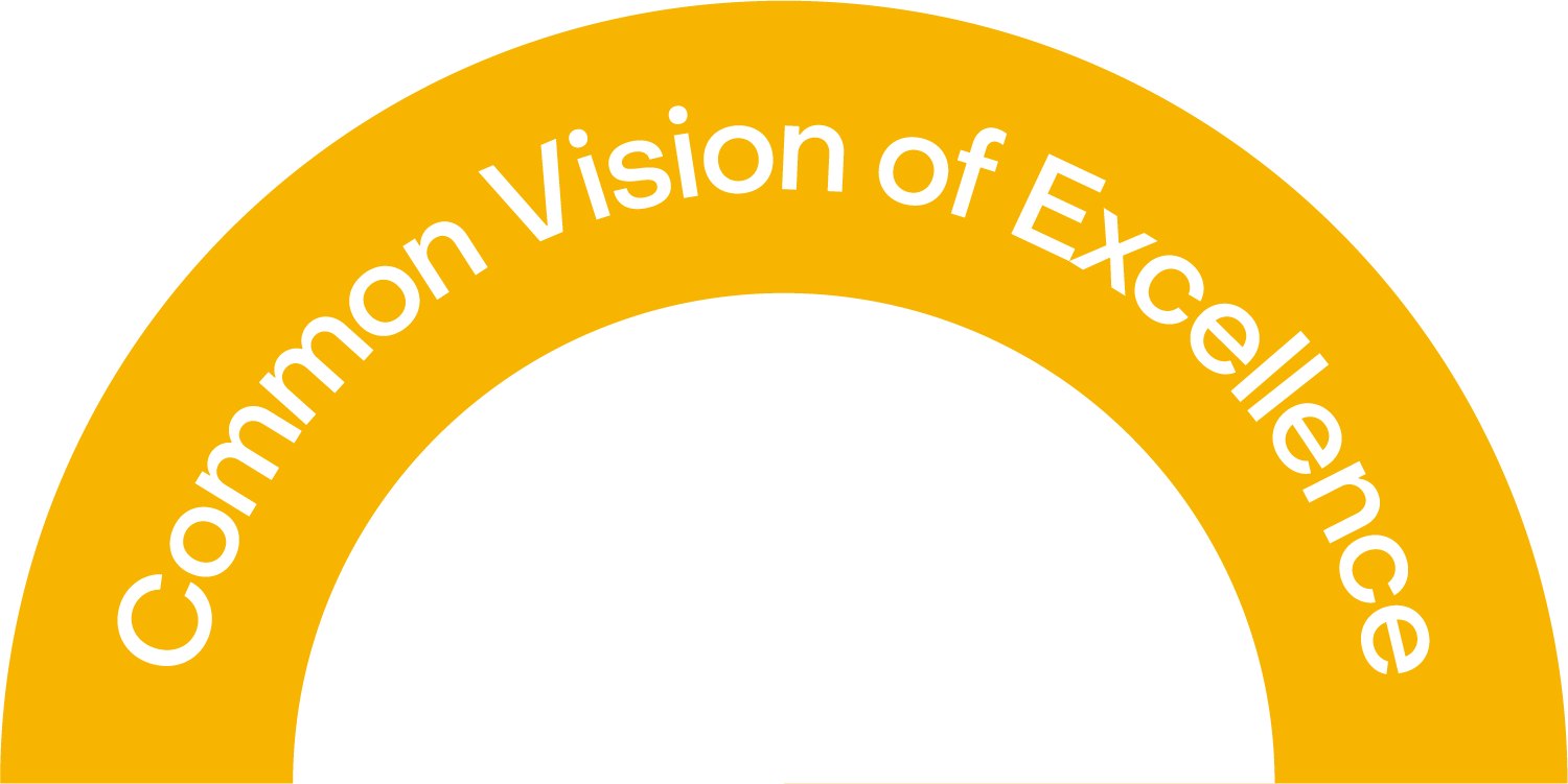 ABC Consulting_Common Vision Of Excellence Icon.png