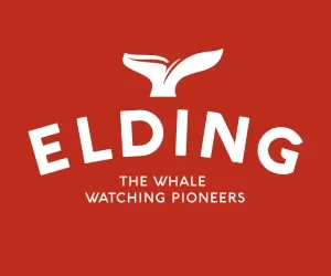 Logo with a whale tail icon and the text 'ELDING' and 'The Whale Watching Pioneers' on a red background.