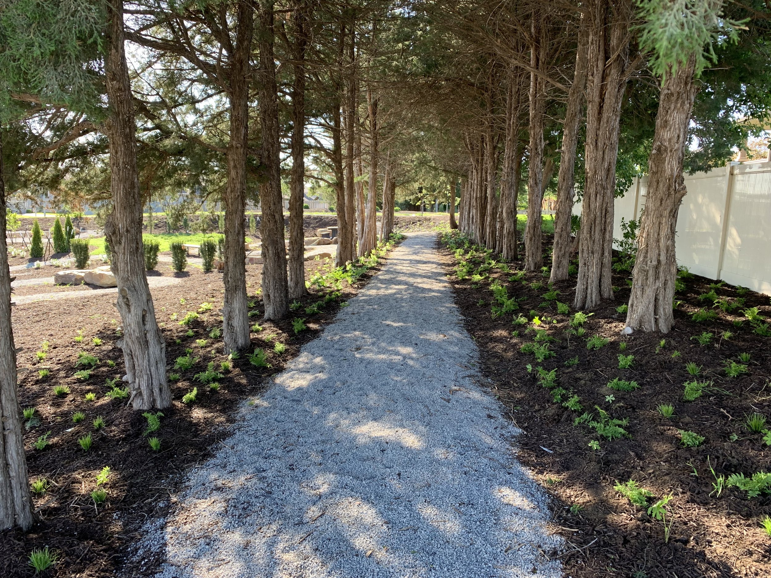 Freshly planted plugs in the prayer path's shade garden at Water's Edge church.