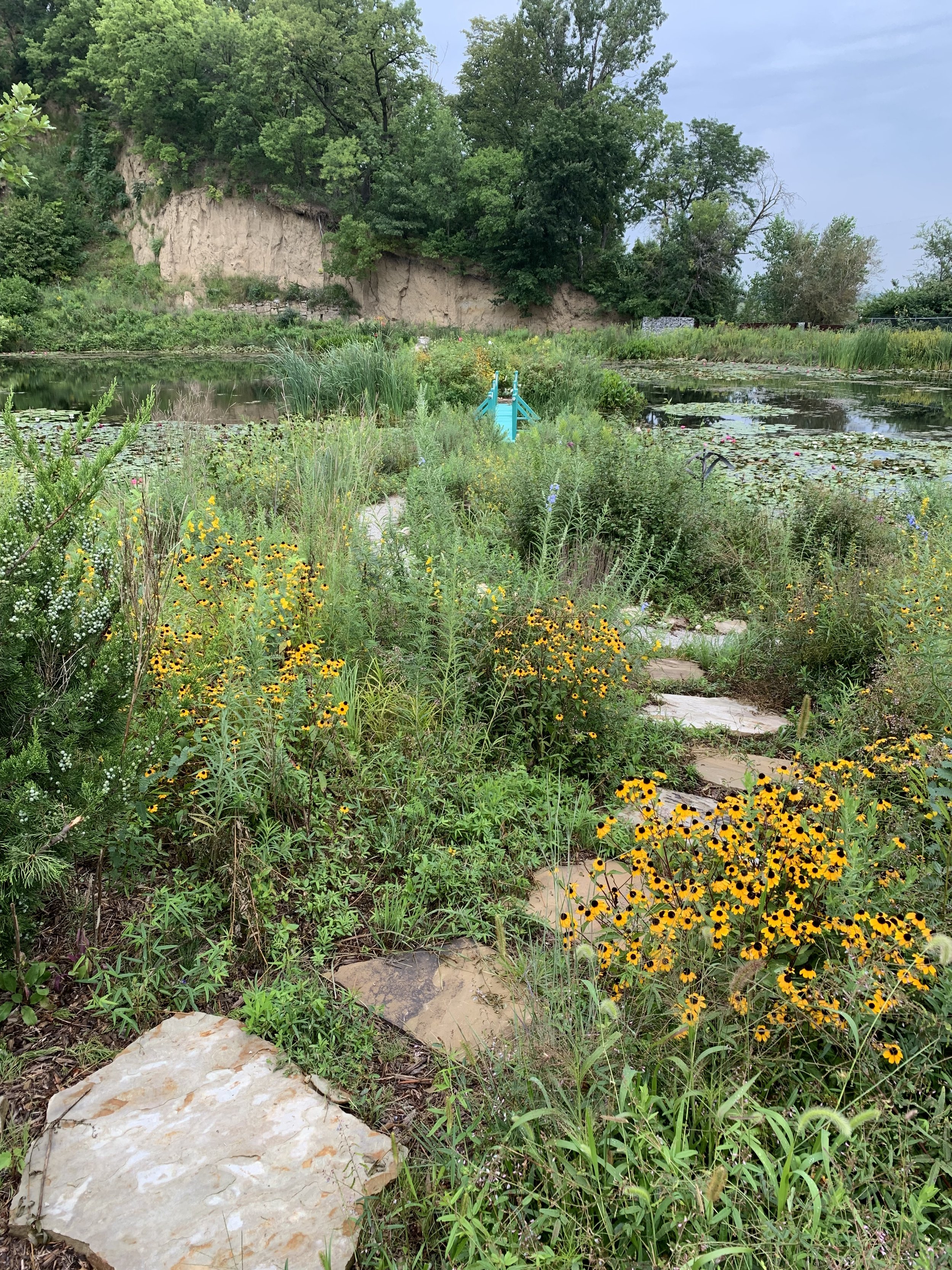 Flagstone path cutting through the prairie garden at the quarry gets people up close and personal with the variety of wildflowers.