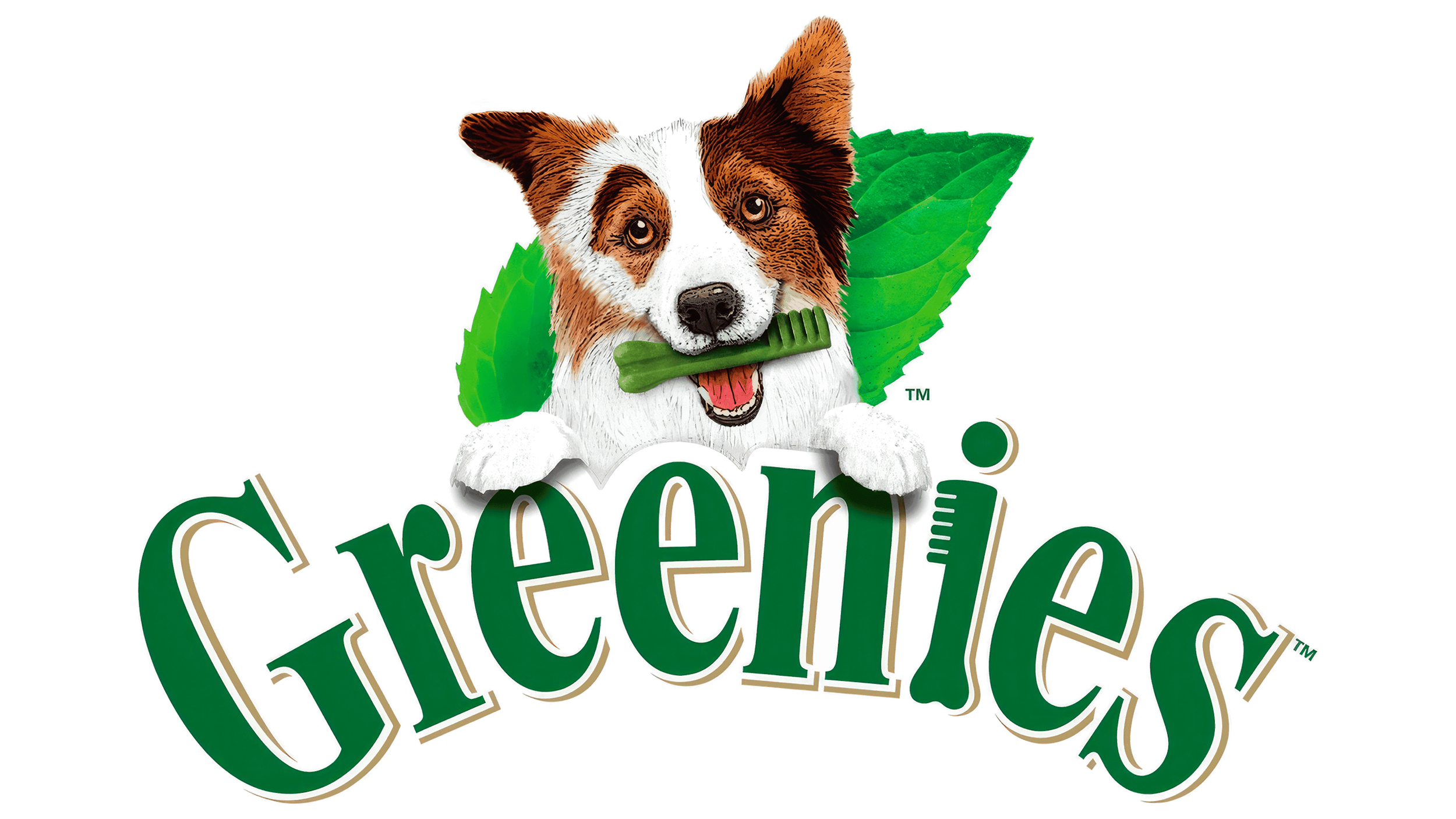 Illustration of a dog with a green leaf costume and holding a small green bone in its mouth, sitting above the word "Greens" written in stylized green letters.