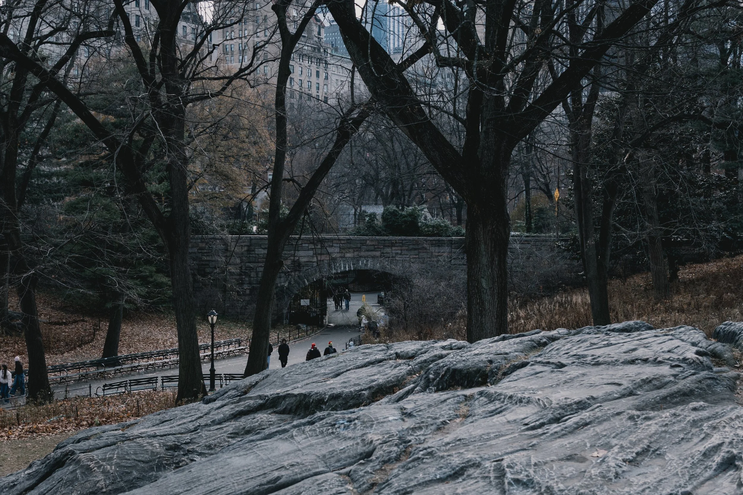 GWB_2440.jpg