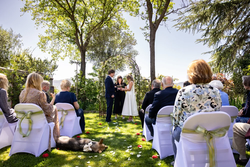 Vérité Visuals-7.jpg