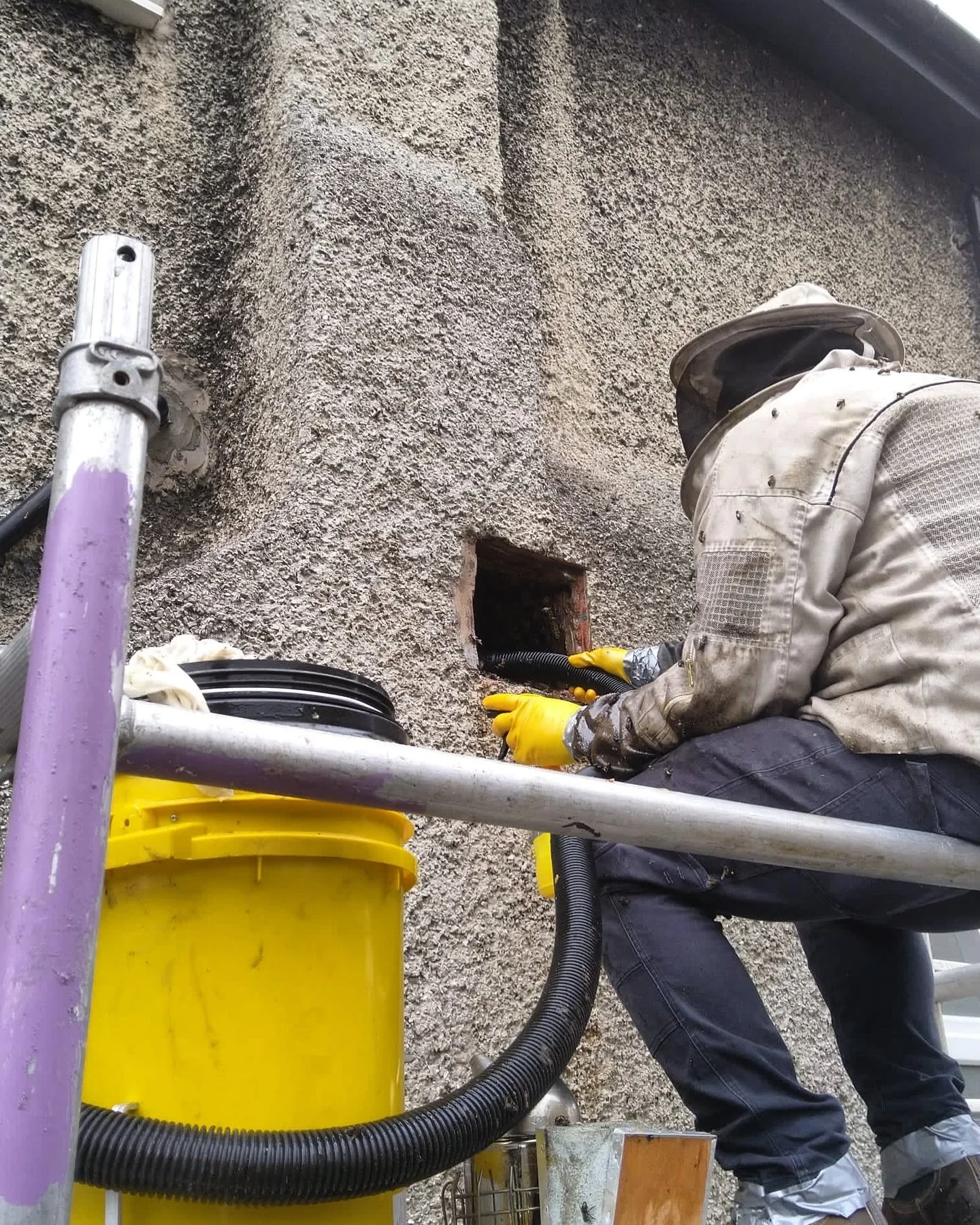 Carefully relocating a honey bee colony from an air brick in a chimney earlier this year 🐝 Using a specialised bee vacuum, we safely remove and rehome each bee, keeping them unharmed and protected. Every job is a step toward preserving these essenti