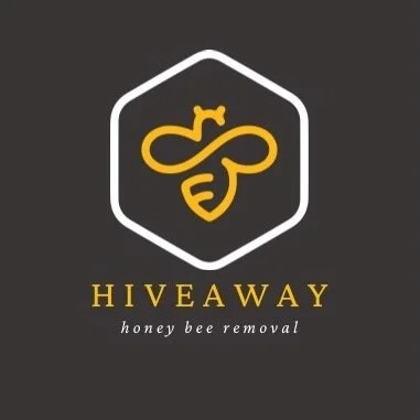Welcome to HiveAway Honey Bee Removal! 🐝 Specialising in safe, humane honey bee removal across the North West UK, we&rsquo;re here to protect both your property and the environment. From chimneys to cavity walls, our experienced team ensures each re